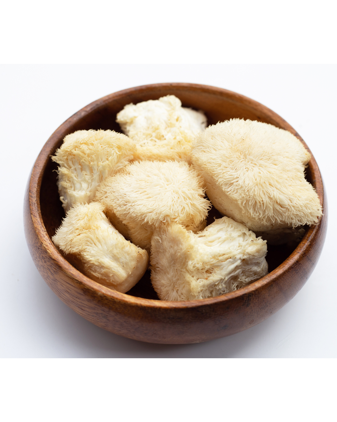 Lion’s Mane Chowder