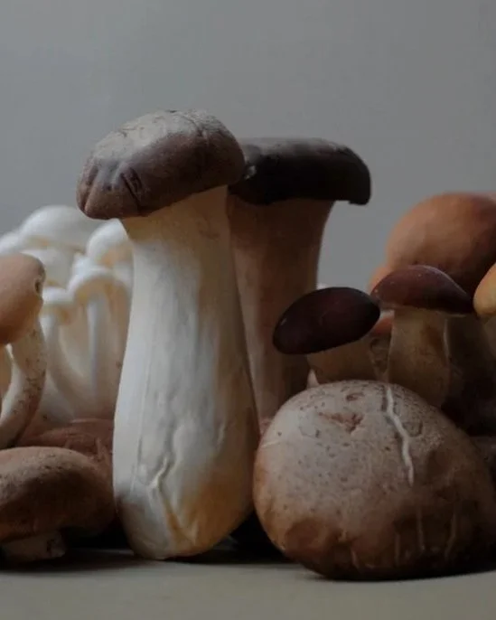 Various fresh mushrooms, including large white and brown mushrooms, on a flat surface.