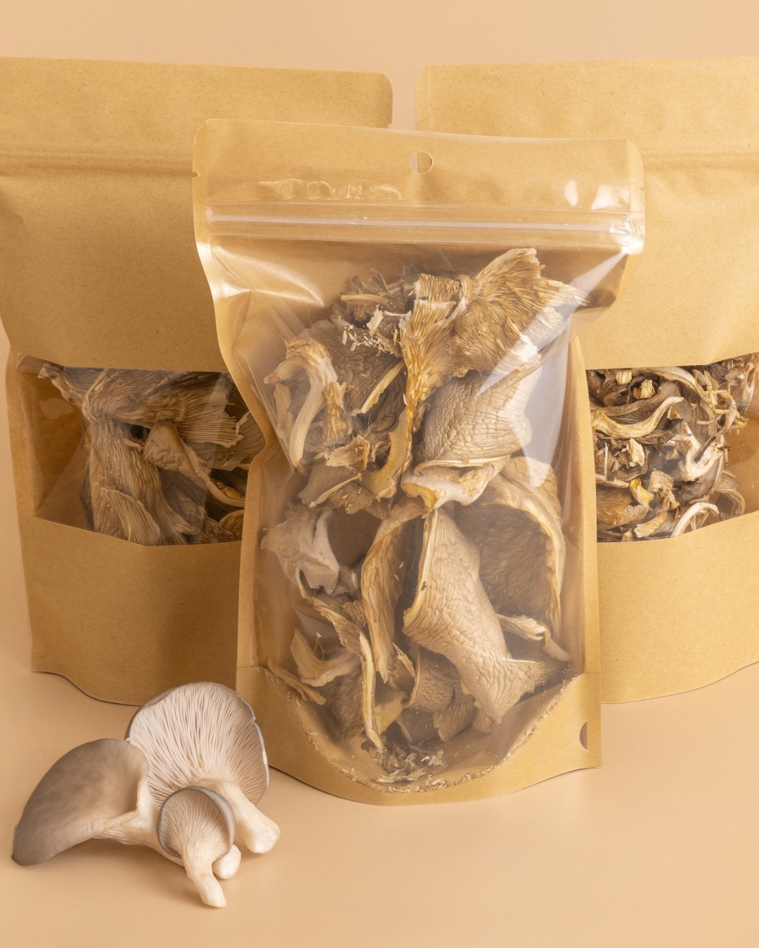 Dried mushrooms in brown kraft paper packages and loose mushrooms in front.