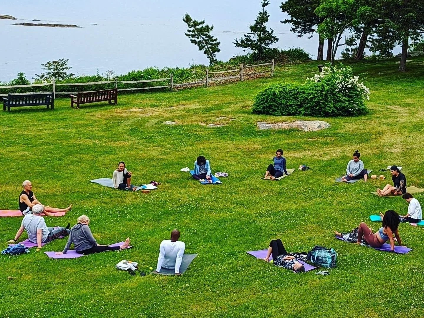 Yoga Group in Park.jpg