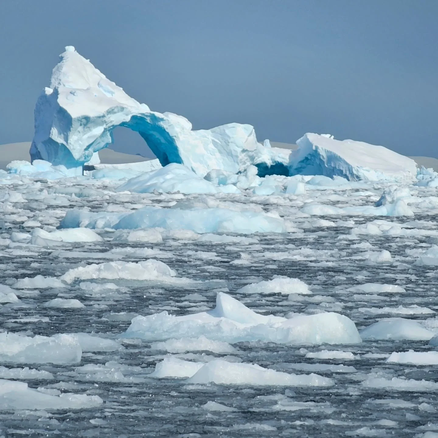 On 1st December 1959, the Antarctic treaty was signed, banning military activity there and promoting the sharing of scientific information about Antarctica. 

On 1st December 2024, I was preparing to travel to Ushuaia to board an expedition ship boun