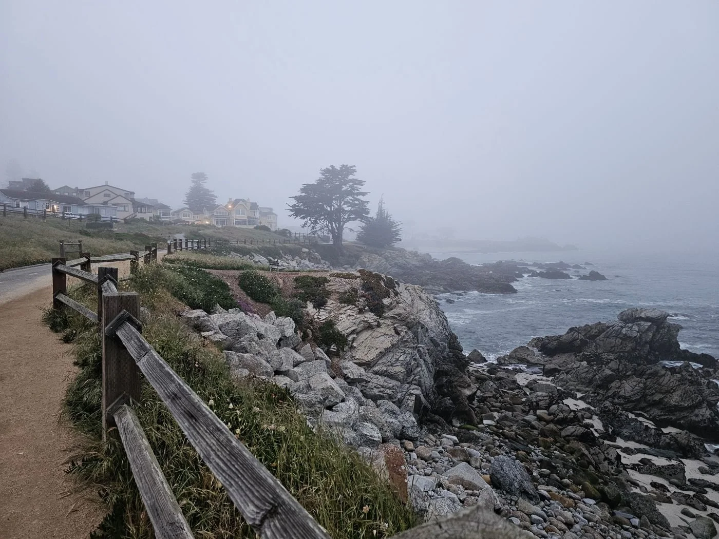 In the Footsteps of Ed Ricketts