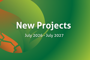 Launching NEW projects…