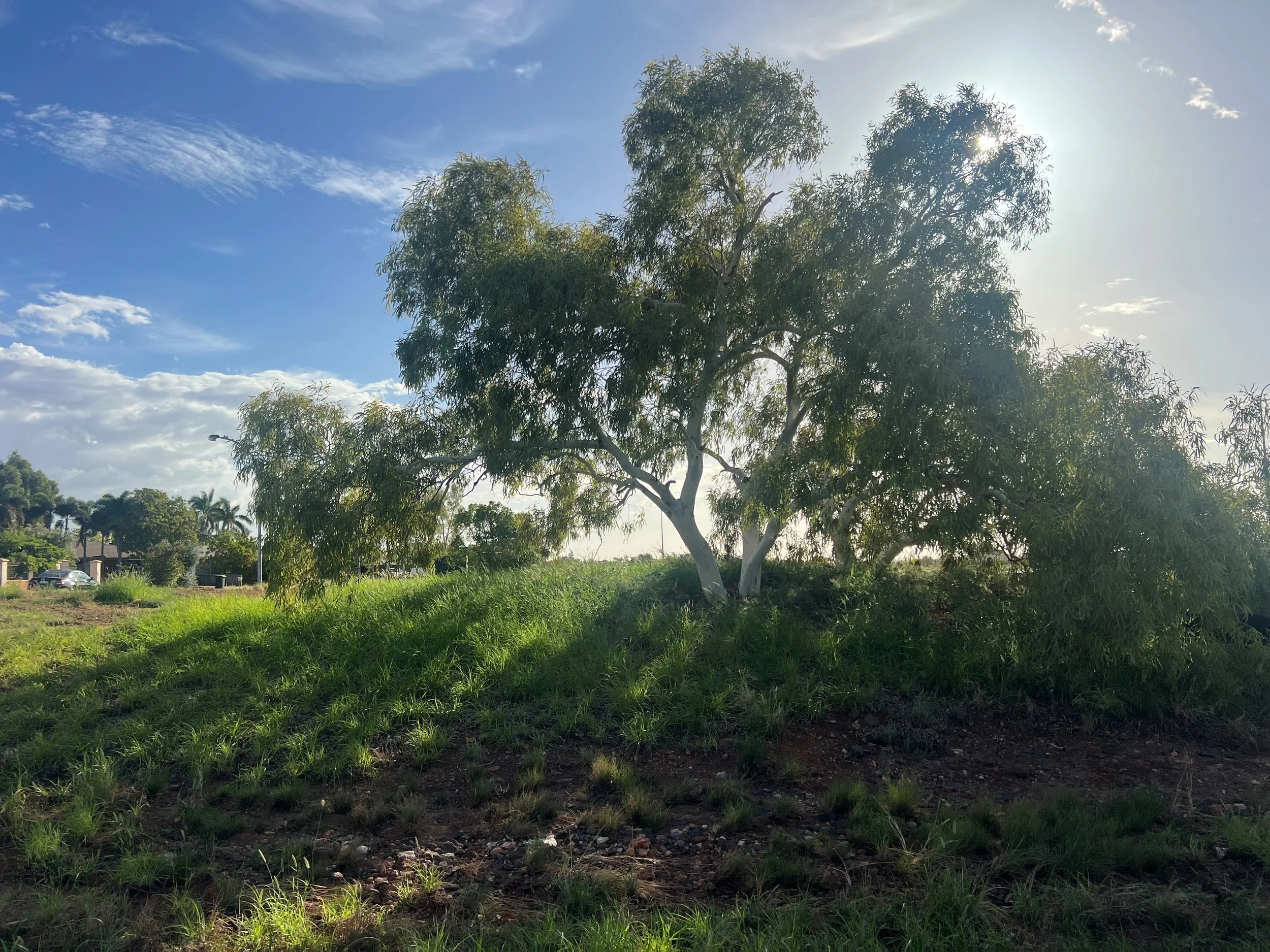 Natural Capital…making sense of it all