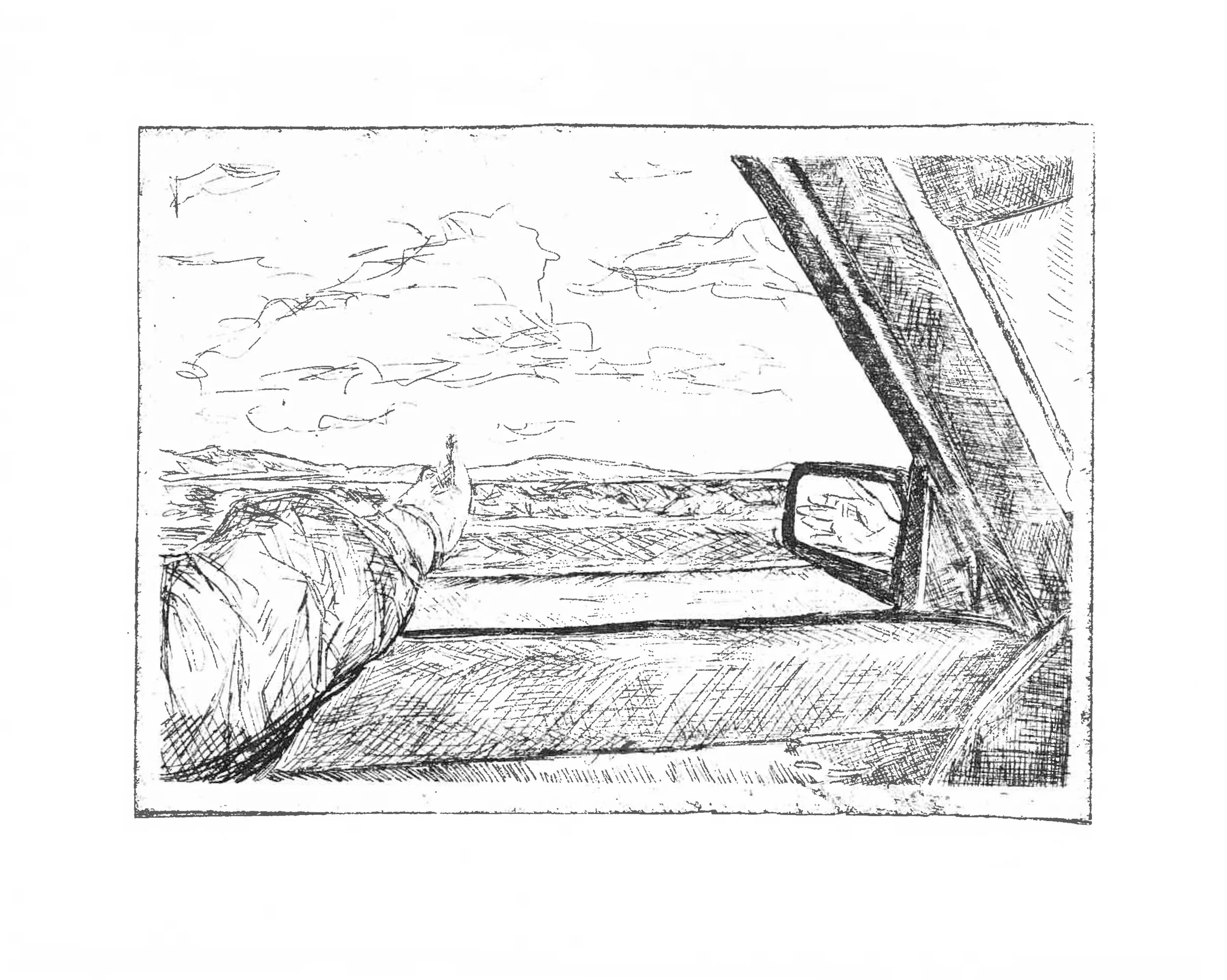 Car Window.jpg