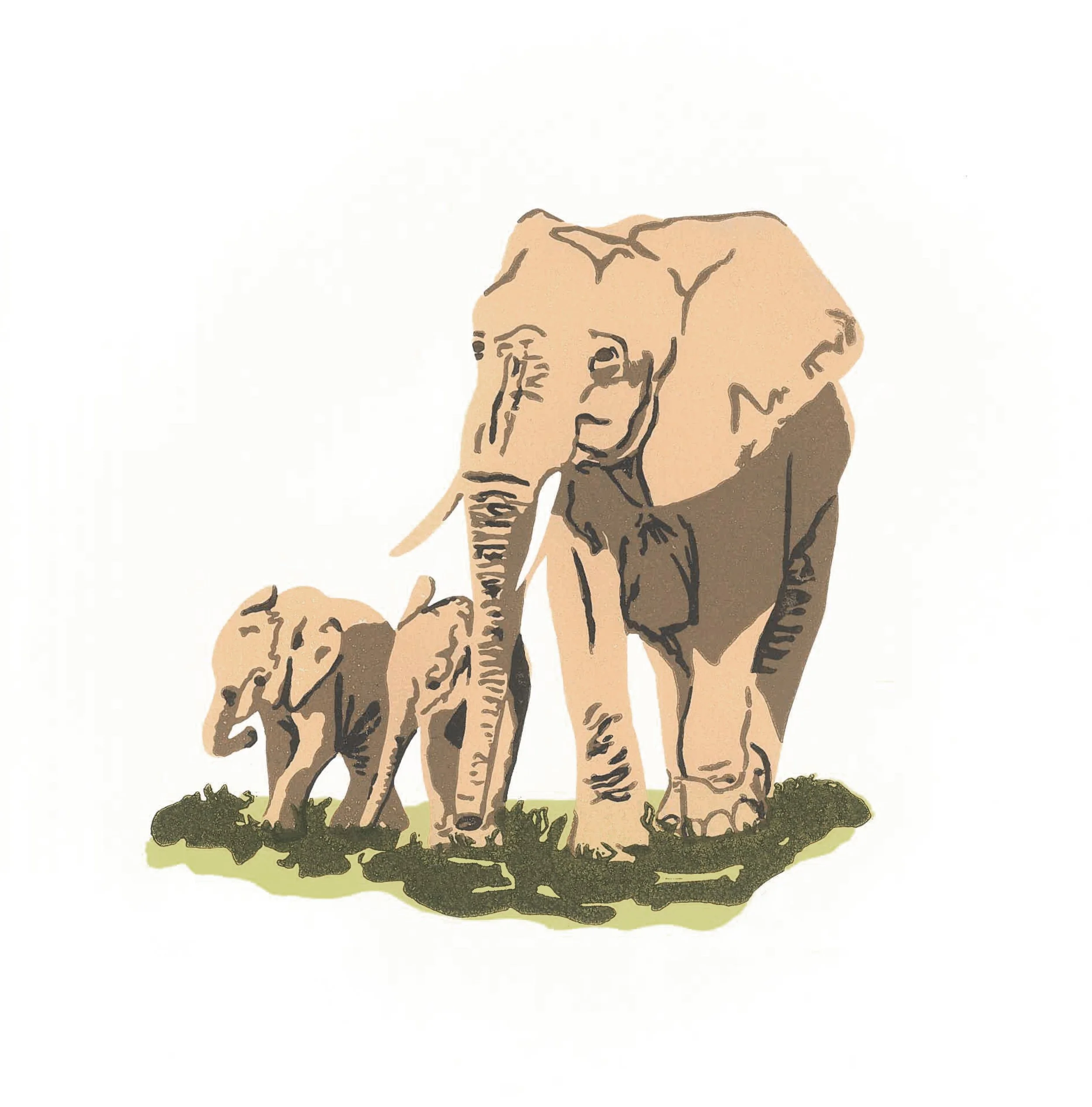Elephant Family.jpg