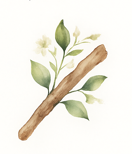 Bloom in the Wilderness – Aaron’s Staff Budded