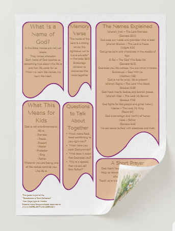 Screenshot 2026-02-13 161854.png