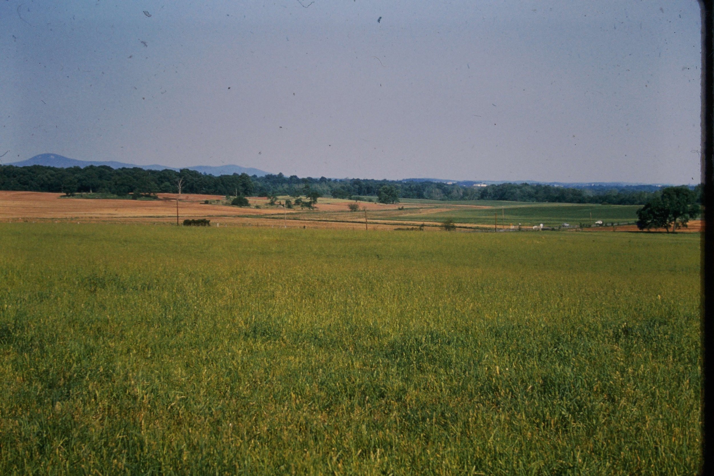 VICA SLIDES BATCH 1 - 716.JPG