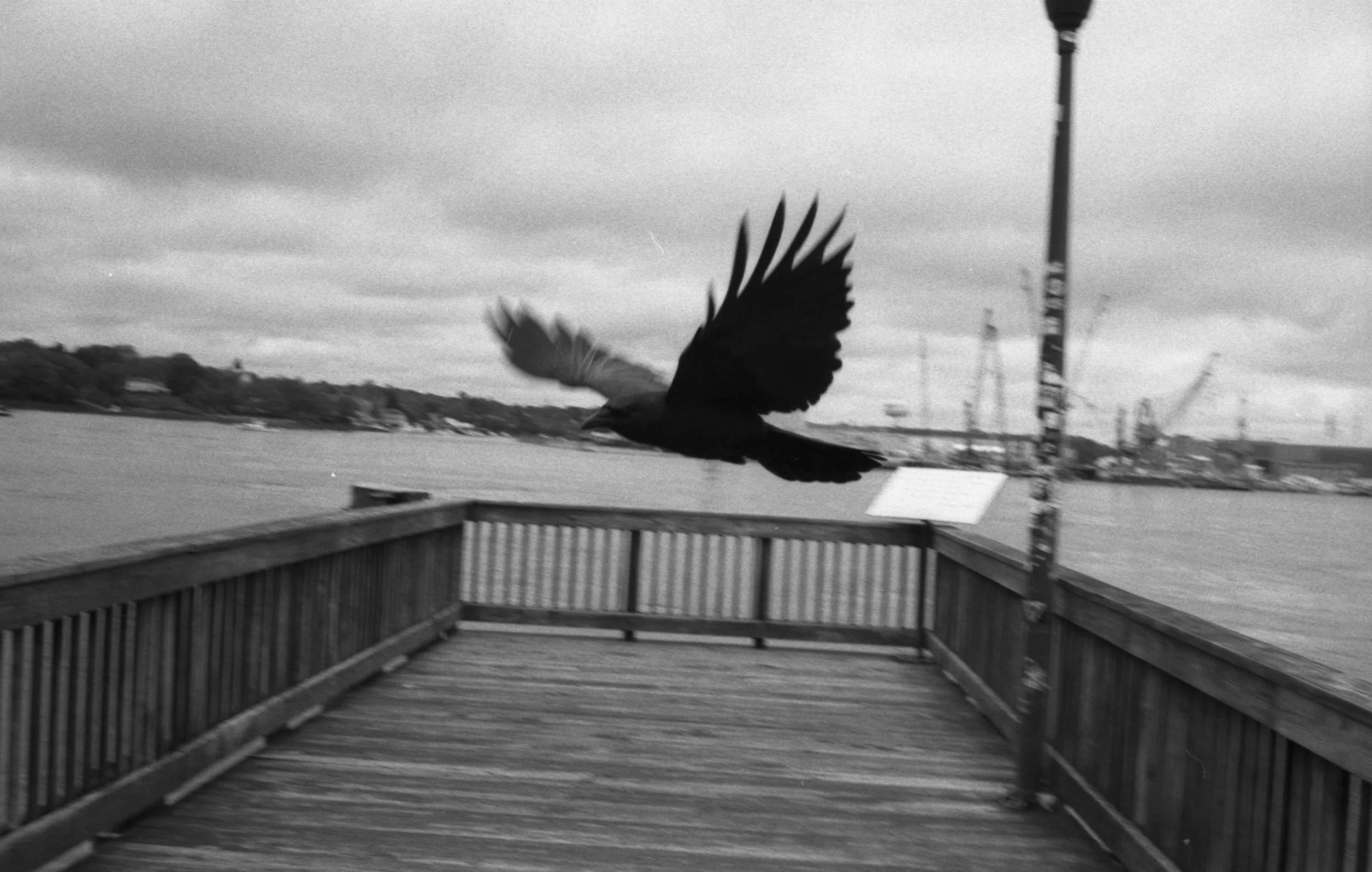 img20260525_22481999.jpg