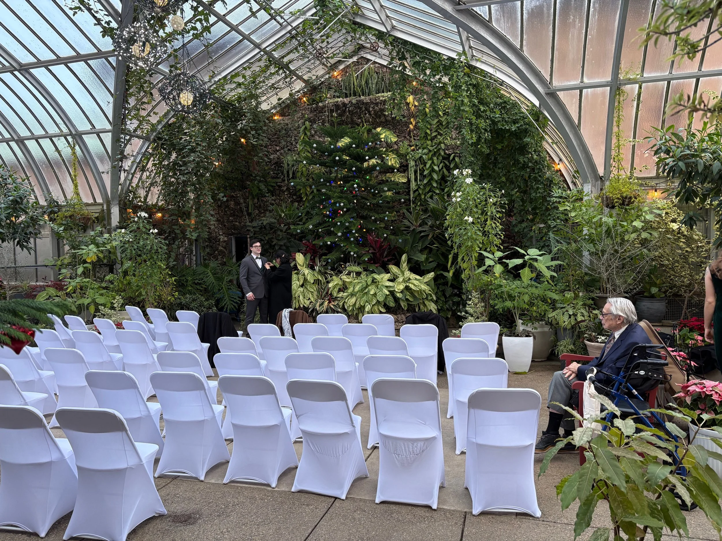 White chairs set up inside a verdant conservatory full of plantlife.