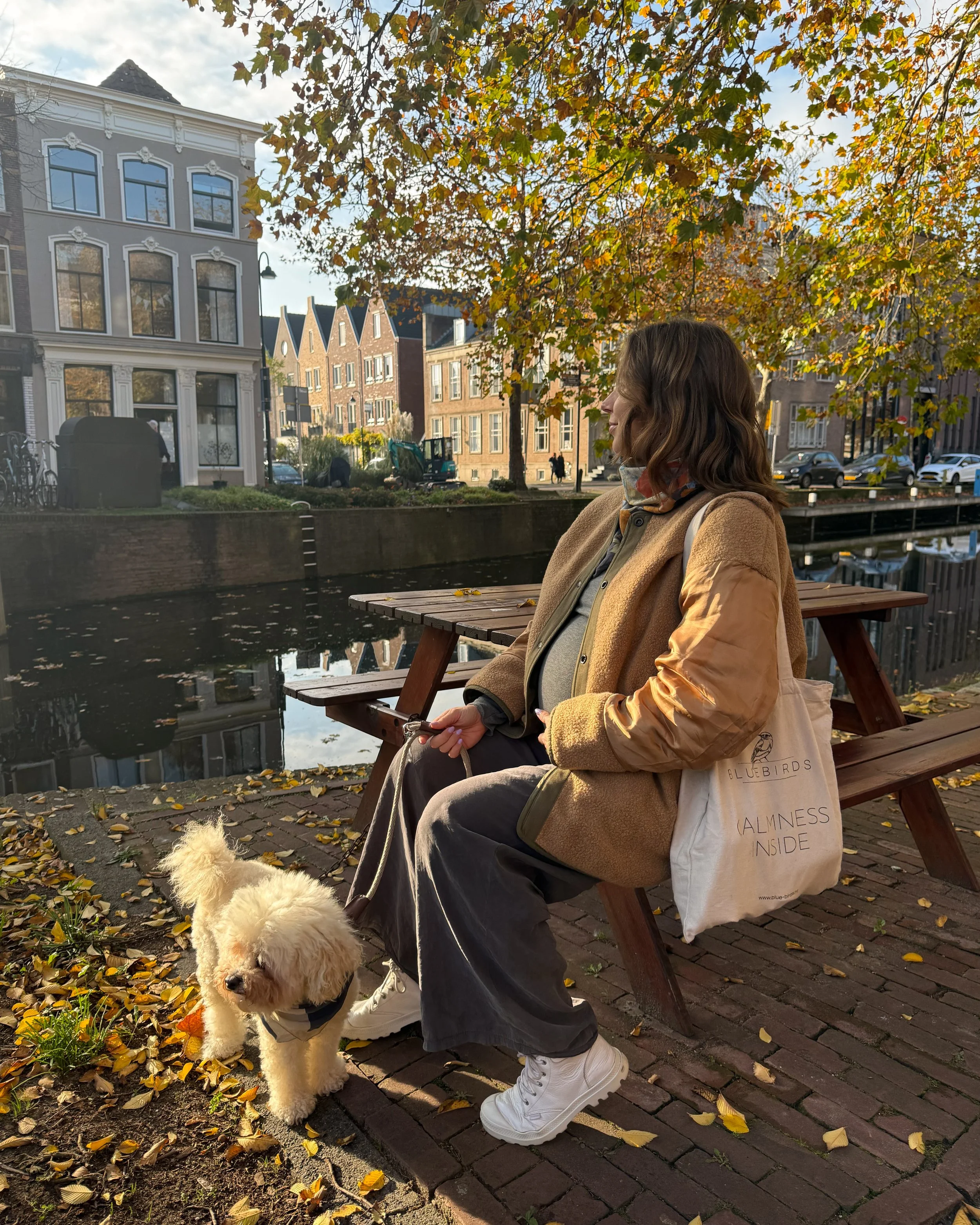Day Trip To Gouda, Netherlands