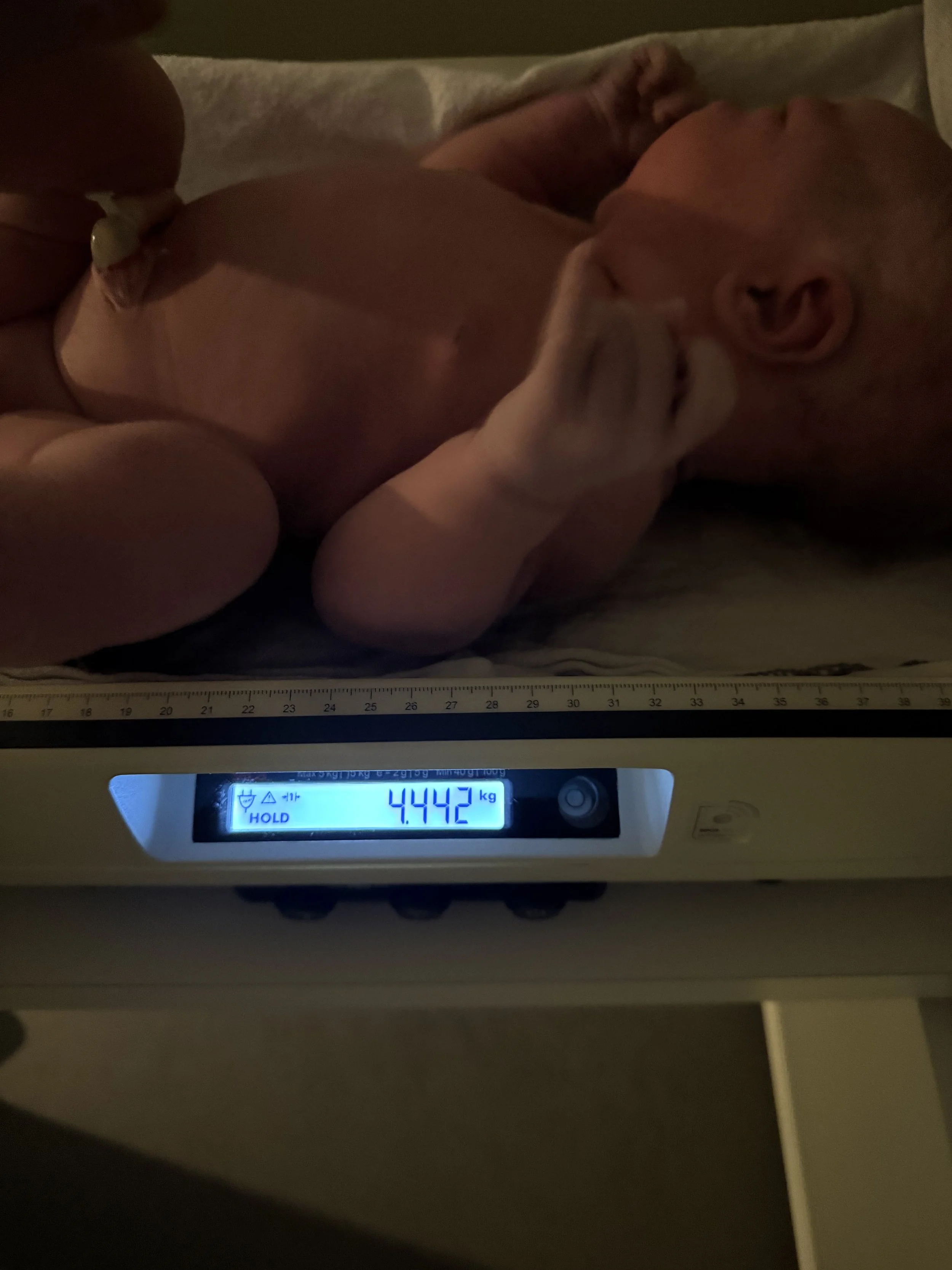hayes_birth_weight.jpg