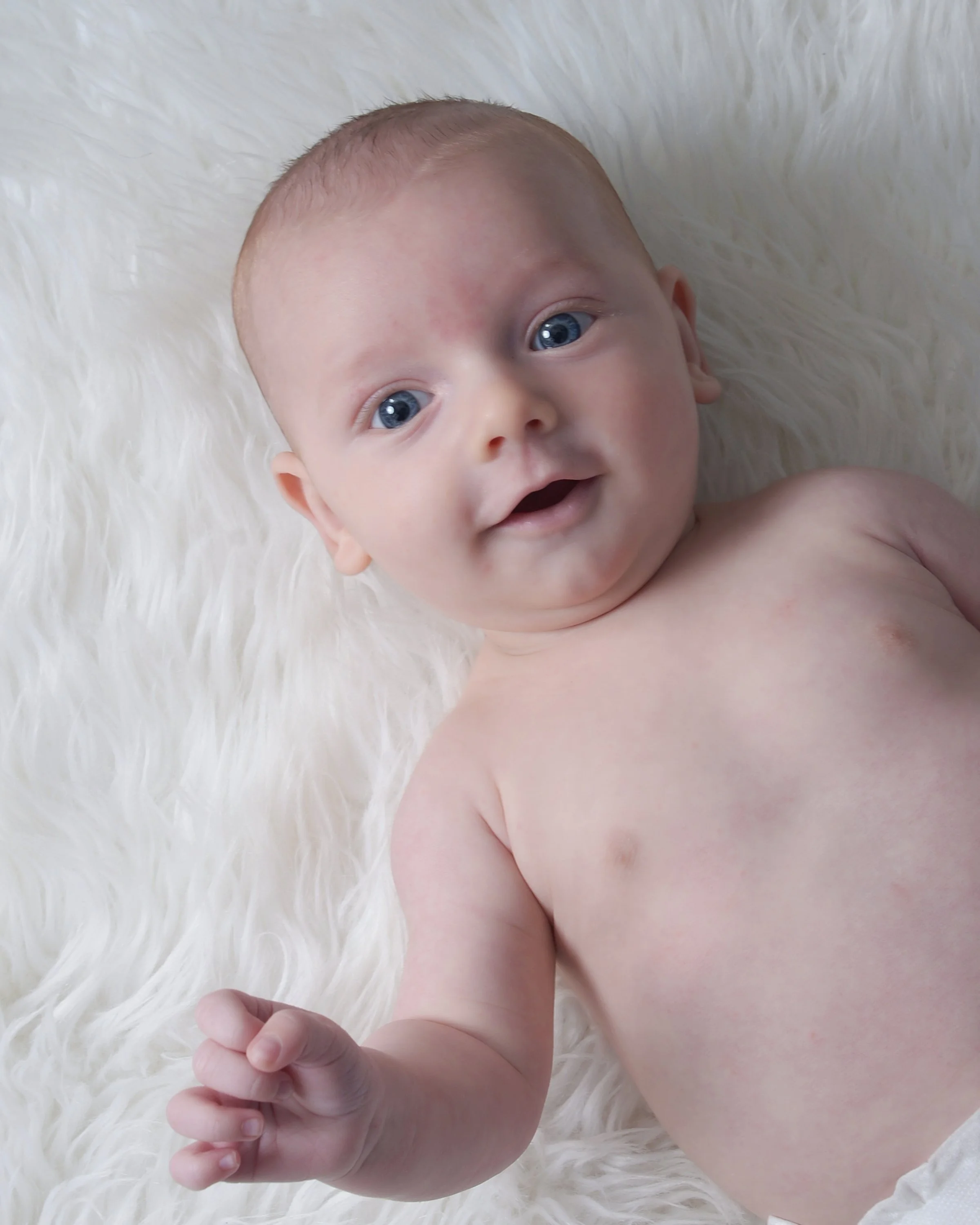 Hayes White Fur 2.jpg