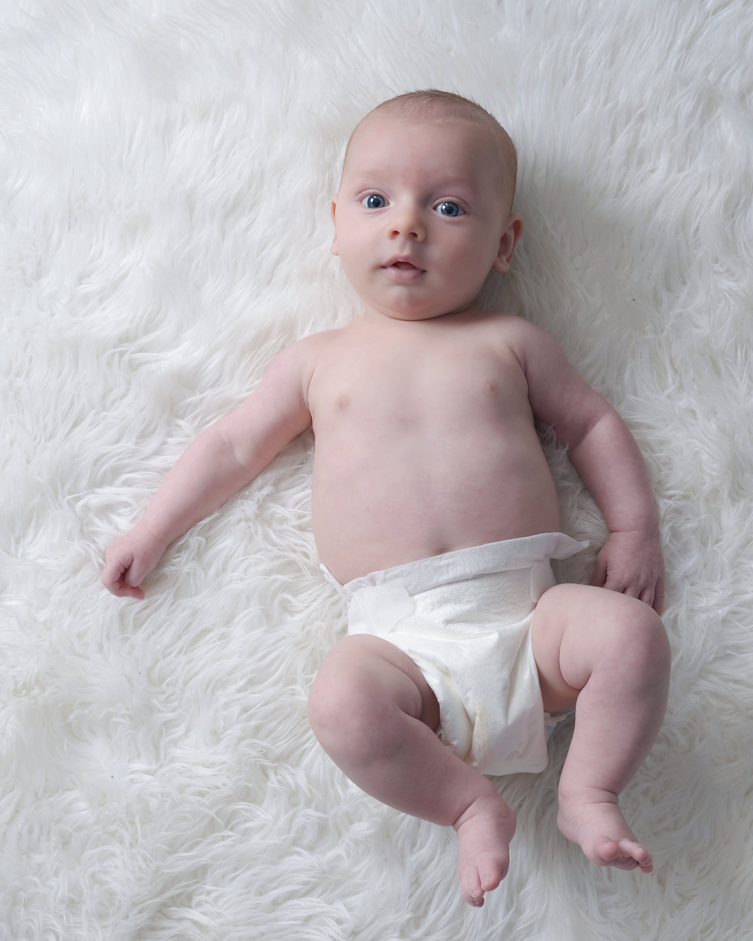 Hayes White Fur1.jpg