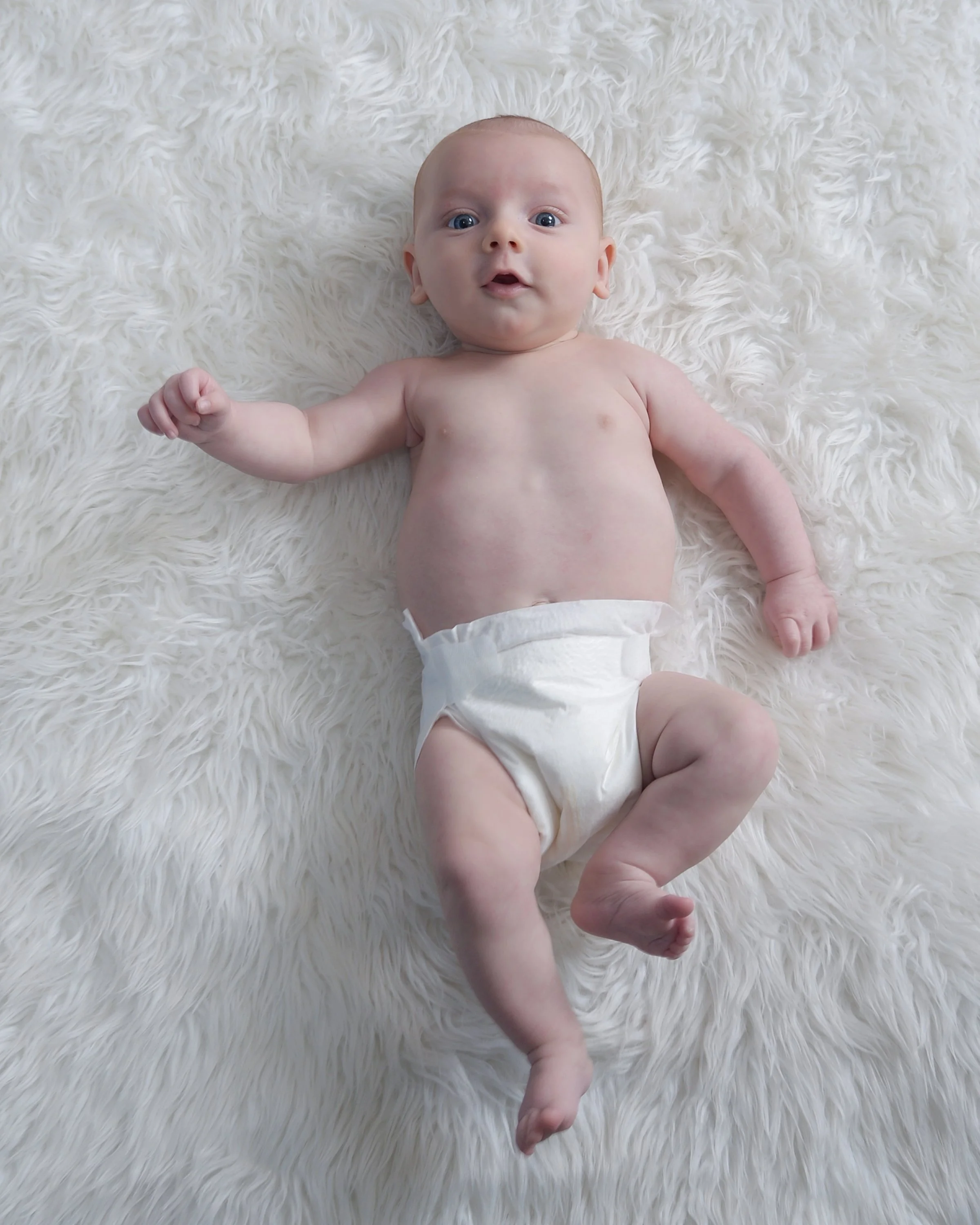 Hayes White Fur 3.jpg