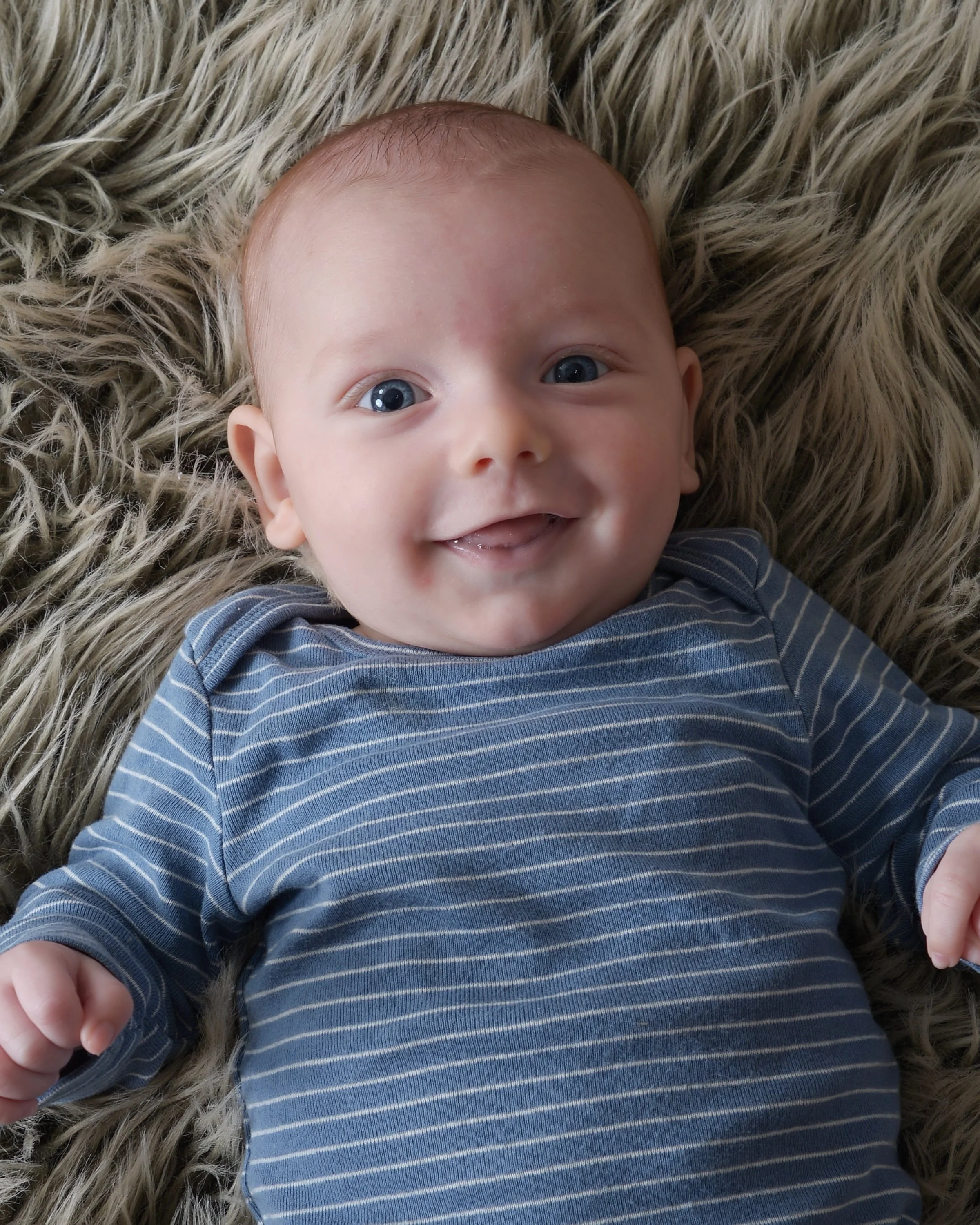 Hayes Blue Stripes.jpg