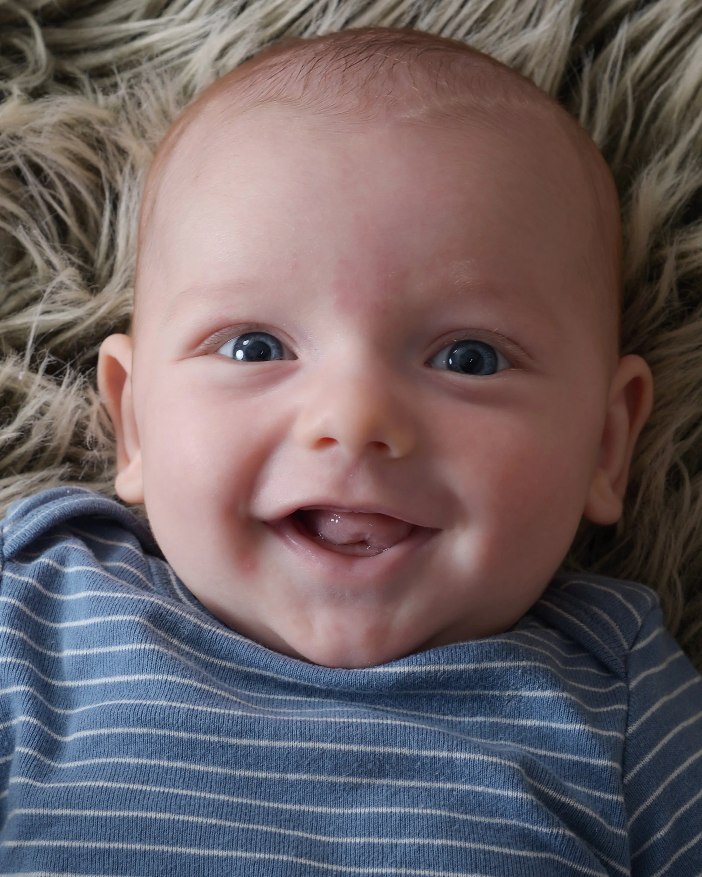 Hayes Blue Stripes 3.jpg