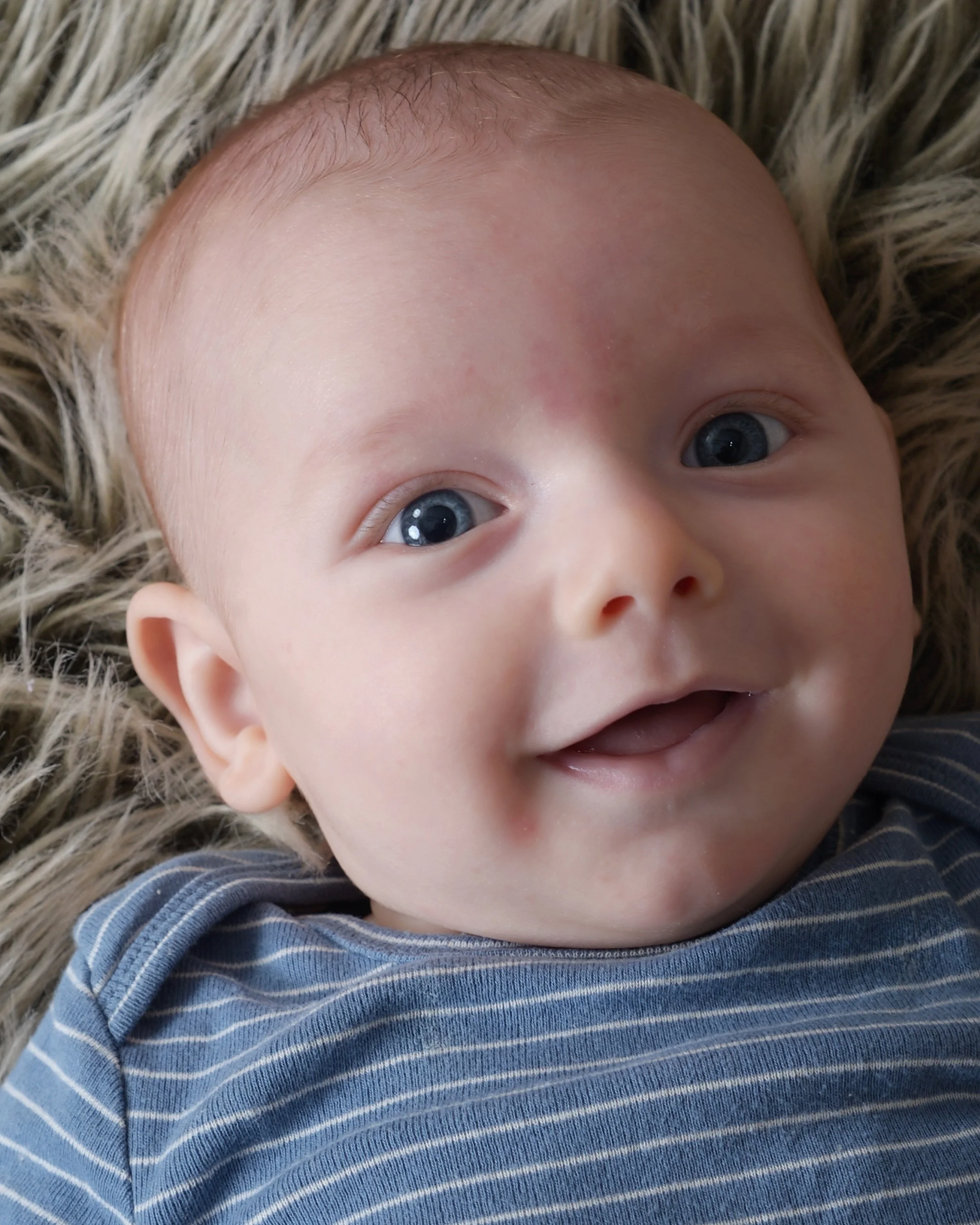 Hayes Blue Stripes 4.jpg