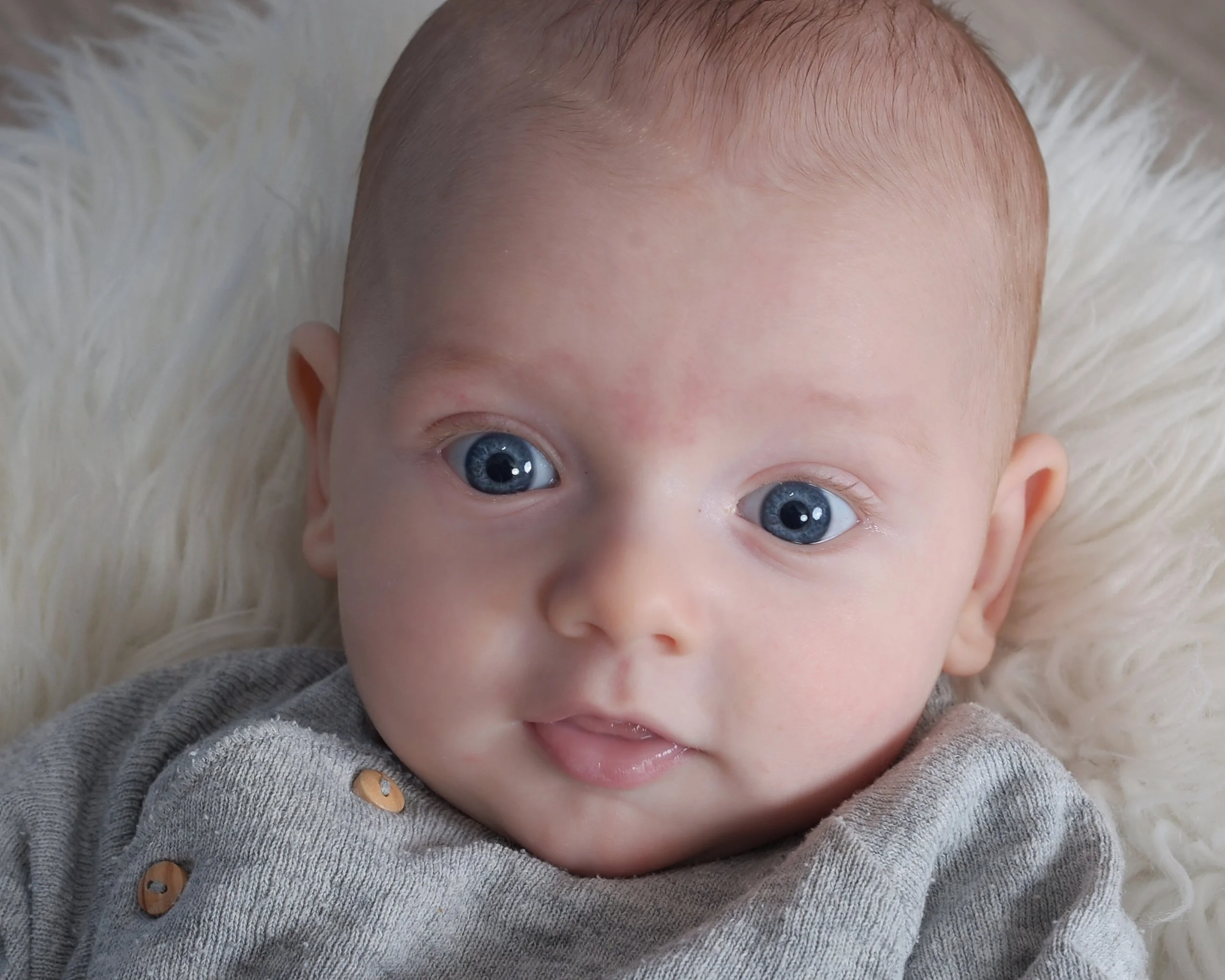 Hayes Grey Sweatsuit3.jpg