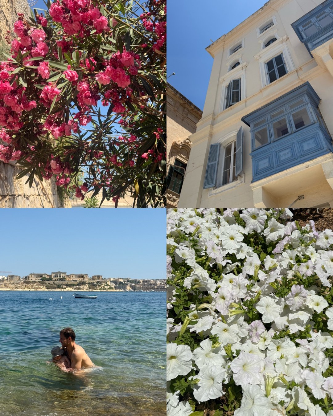 islandcollage3.jpg
