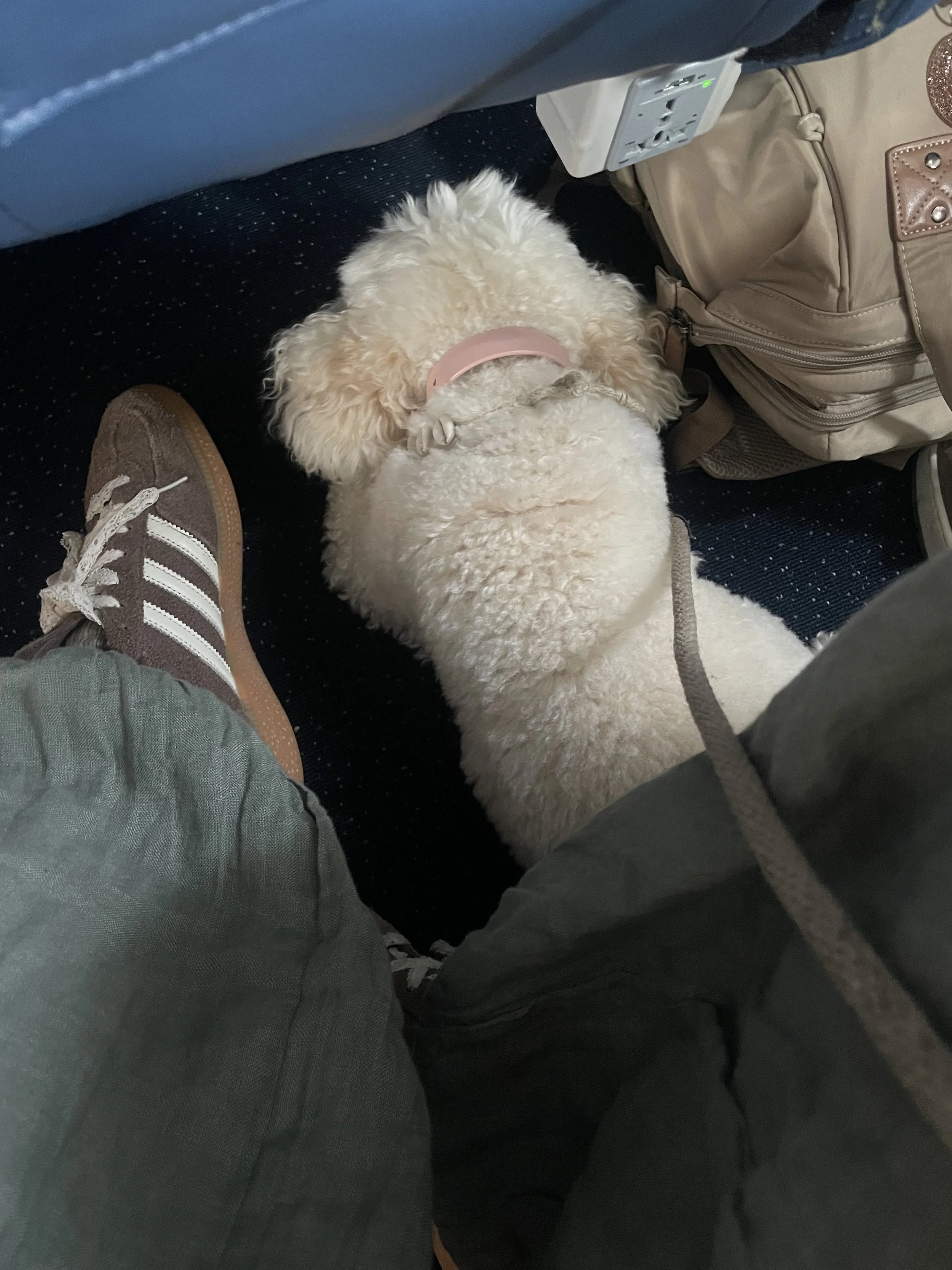 IMG_0103.jpg