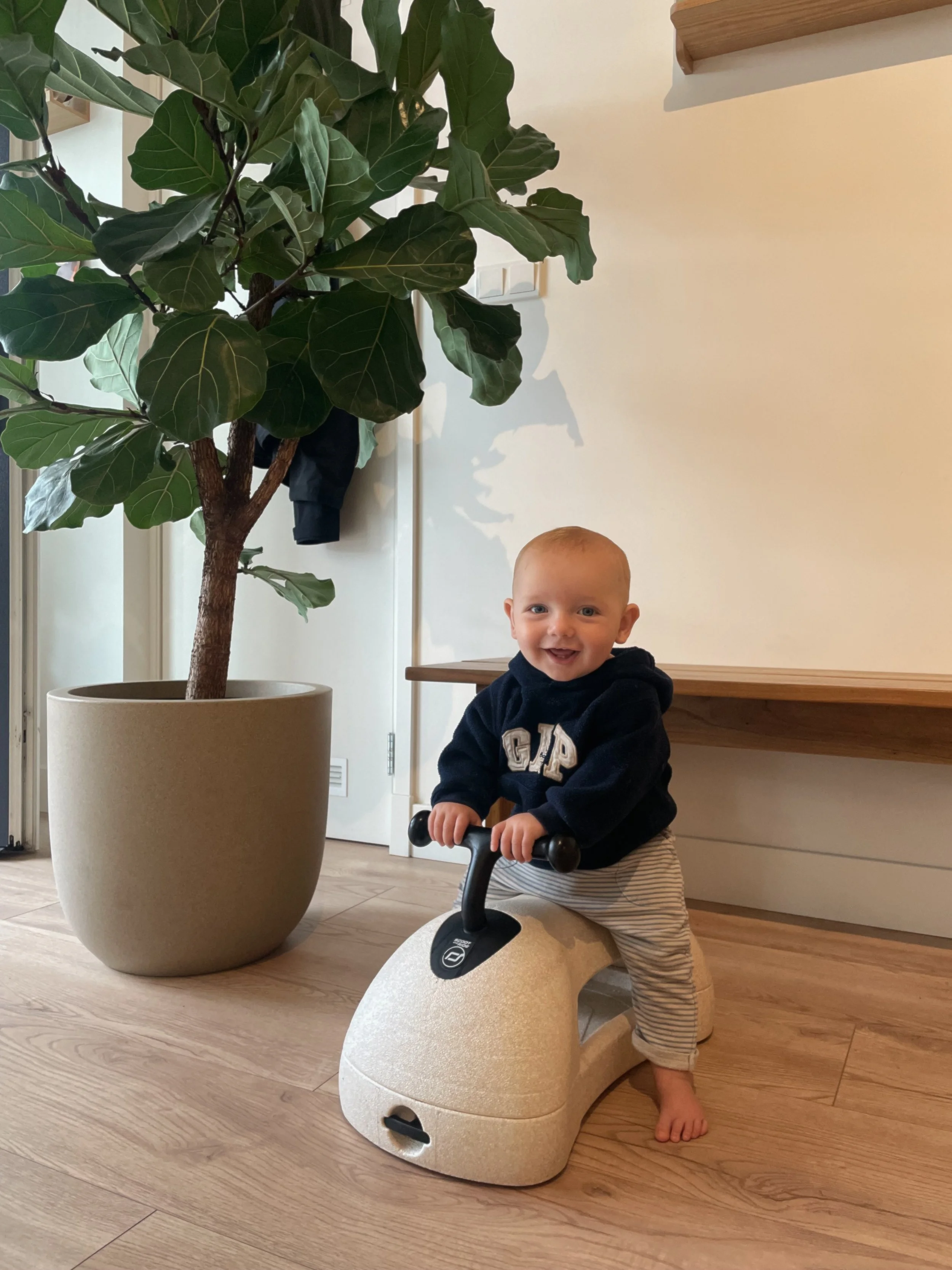 9 Months of Our Vivacious Hayes
