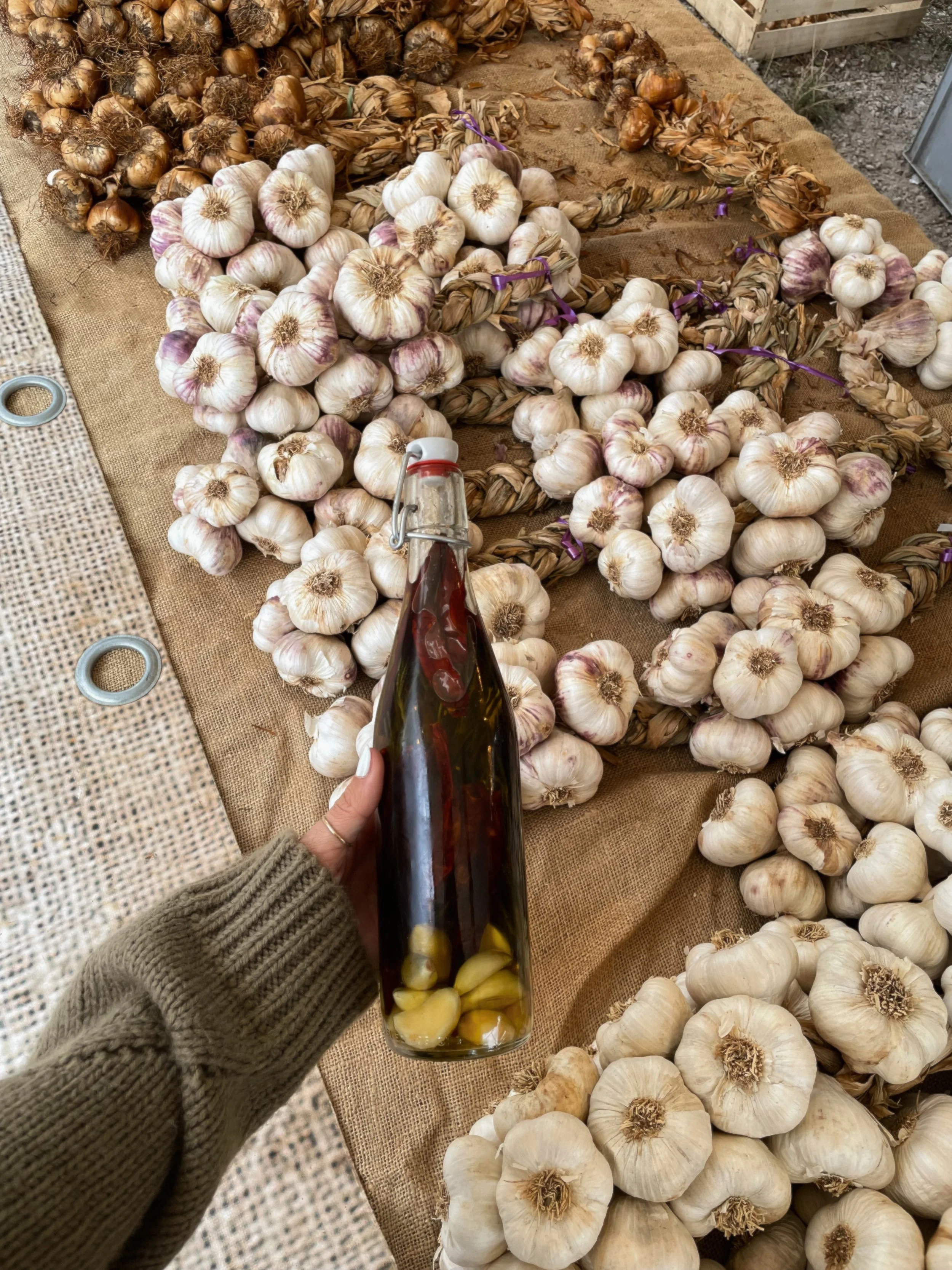 olive oil.jpg