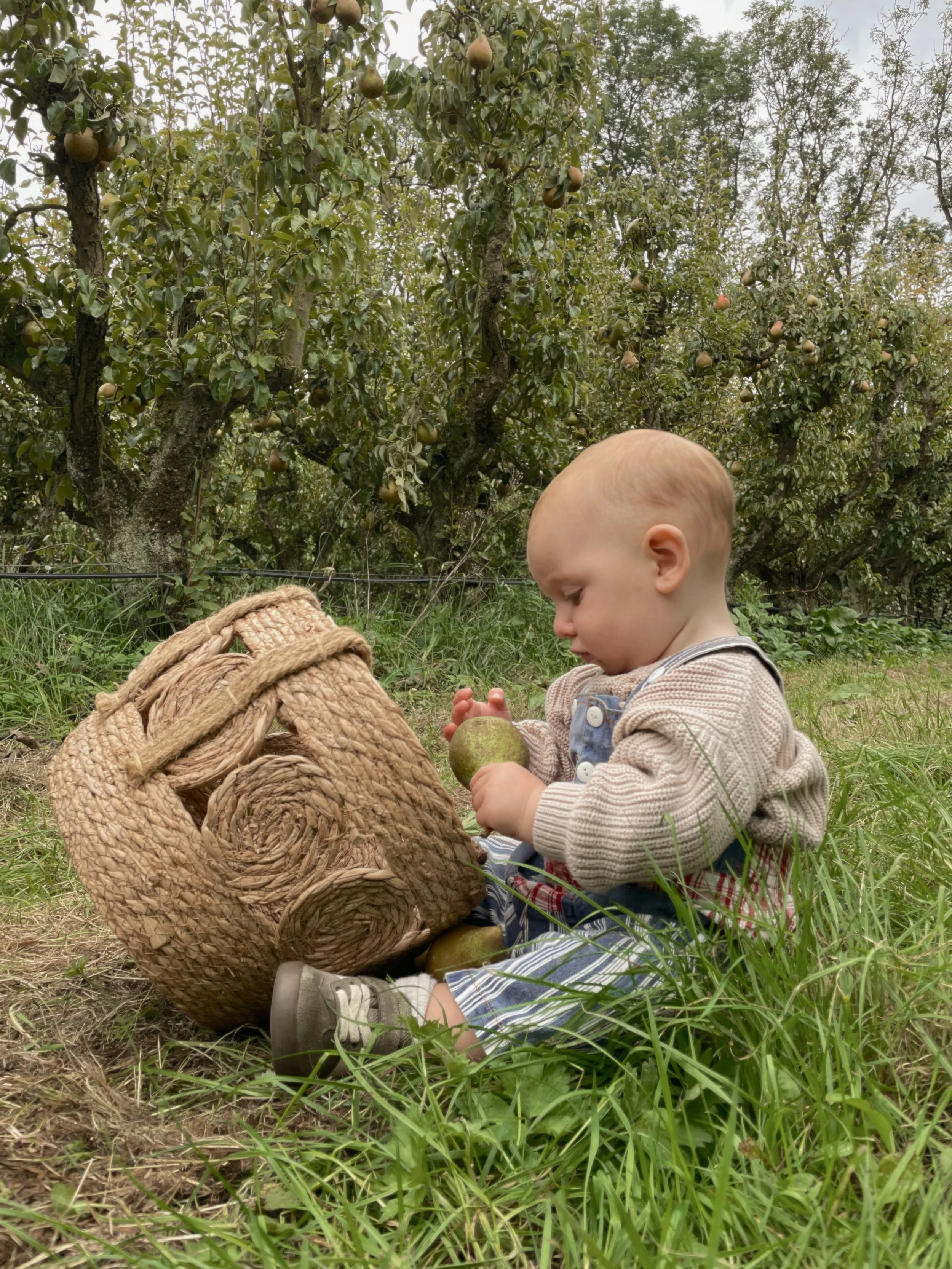 hayes basket 2.jpg