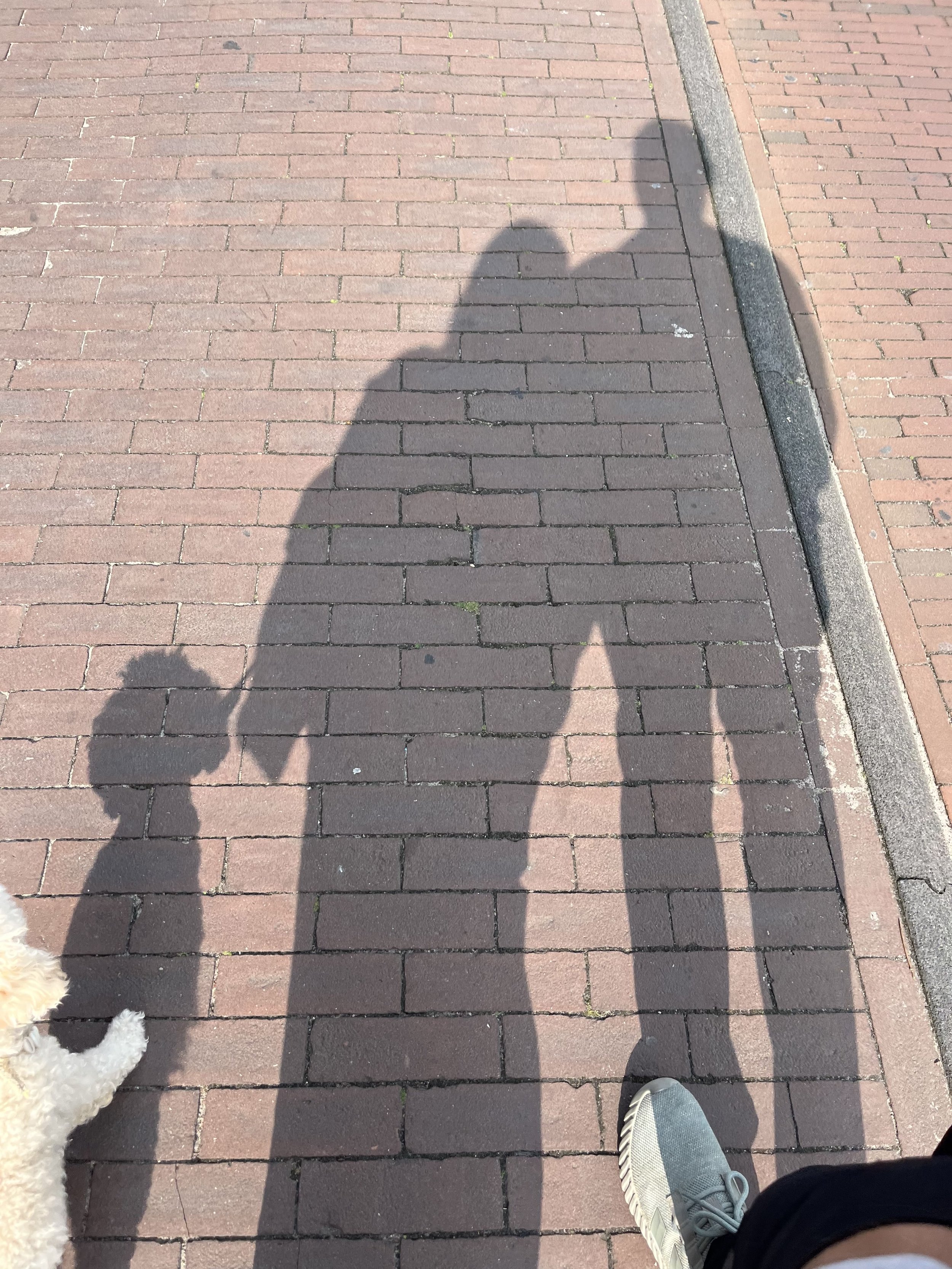 Couple taking sunset walk with their dog