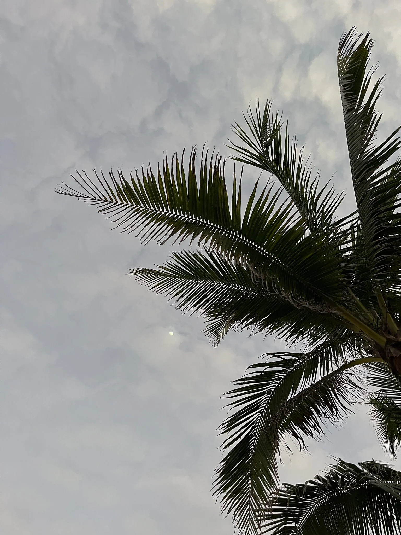 Tulum_Moon.jpg