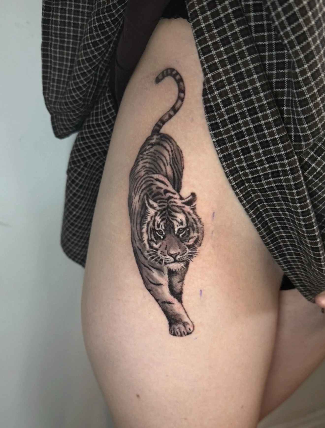 Tattoo of a walking tiger on person's upper arm, with a number '2' tattoo above it and a checkered shirt partially visible.