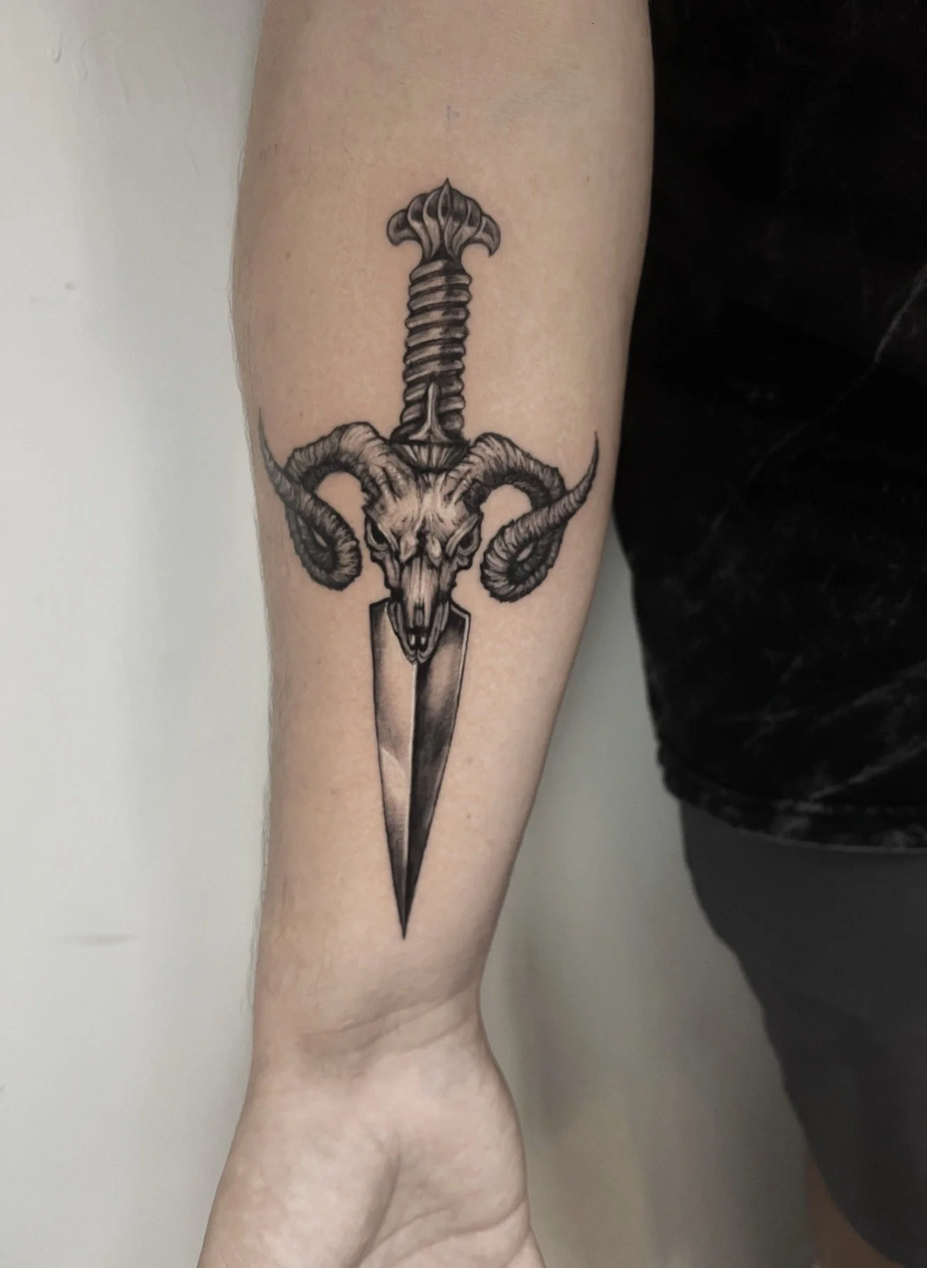 Tattoo of a ram's skull with large curled horns, a sword through its head, on a person's forearm.