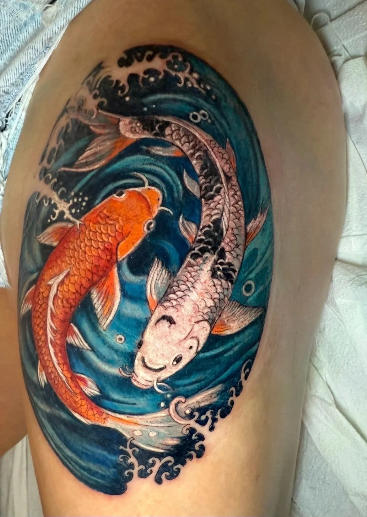 color koi fishes