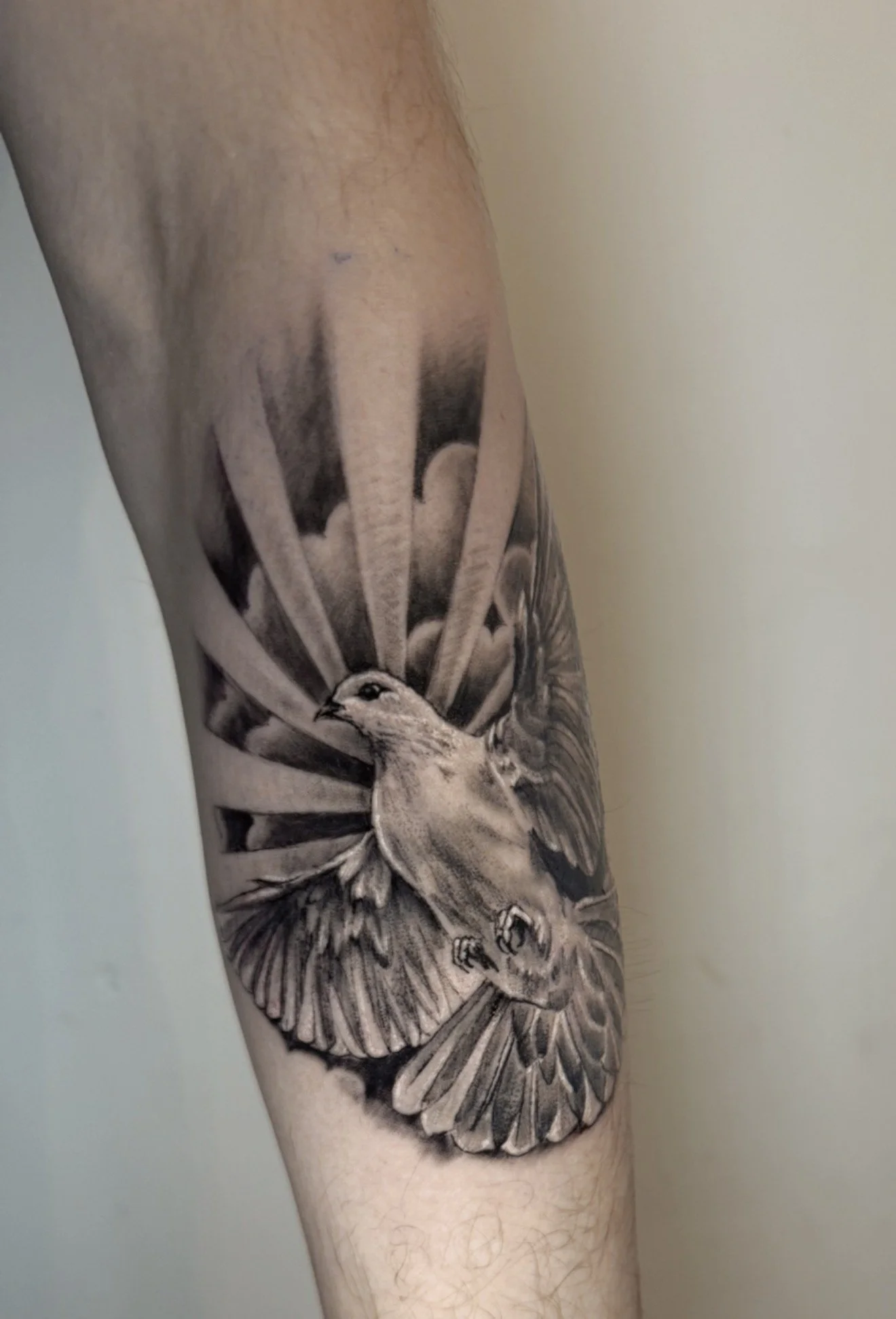 Close-up of a black and gray realistic tattoo of a moth with wings spread on a person's arm.