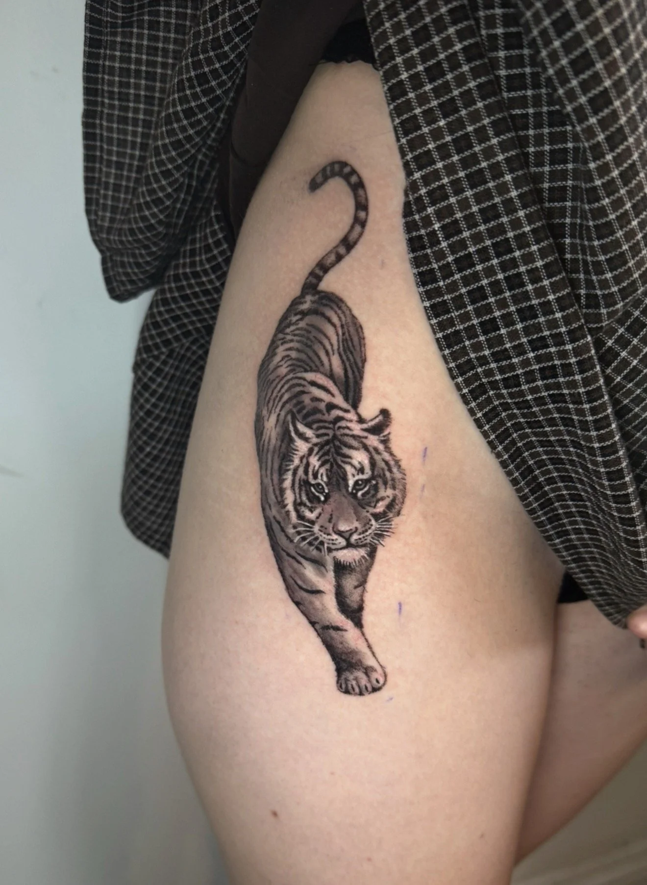 A tattoo of a tiger walking down the person's upper arm.