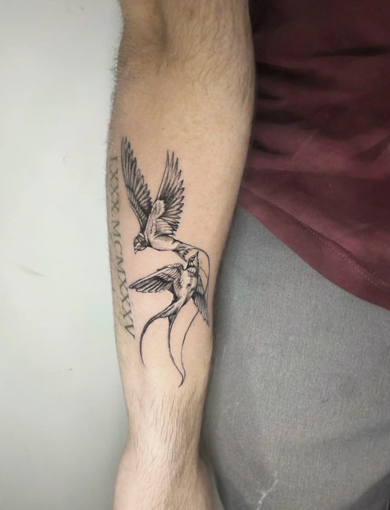 Tattoo of two birds in flight on a person's forearm, with Latin text to the side.
