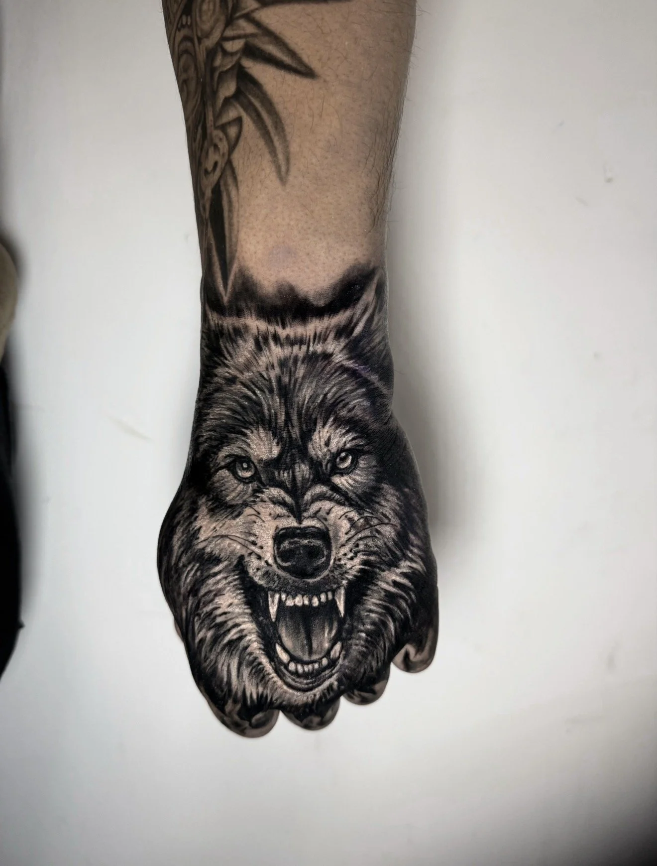 A tattoo of a snarling wolf with bared teeth, fur detail, and intense eyes on a person's forearm.