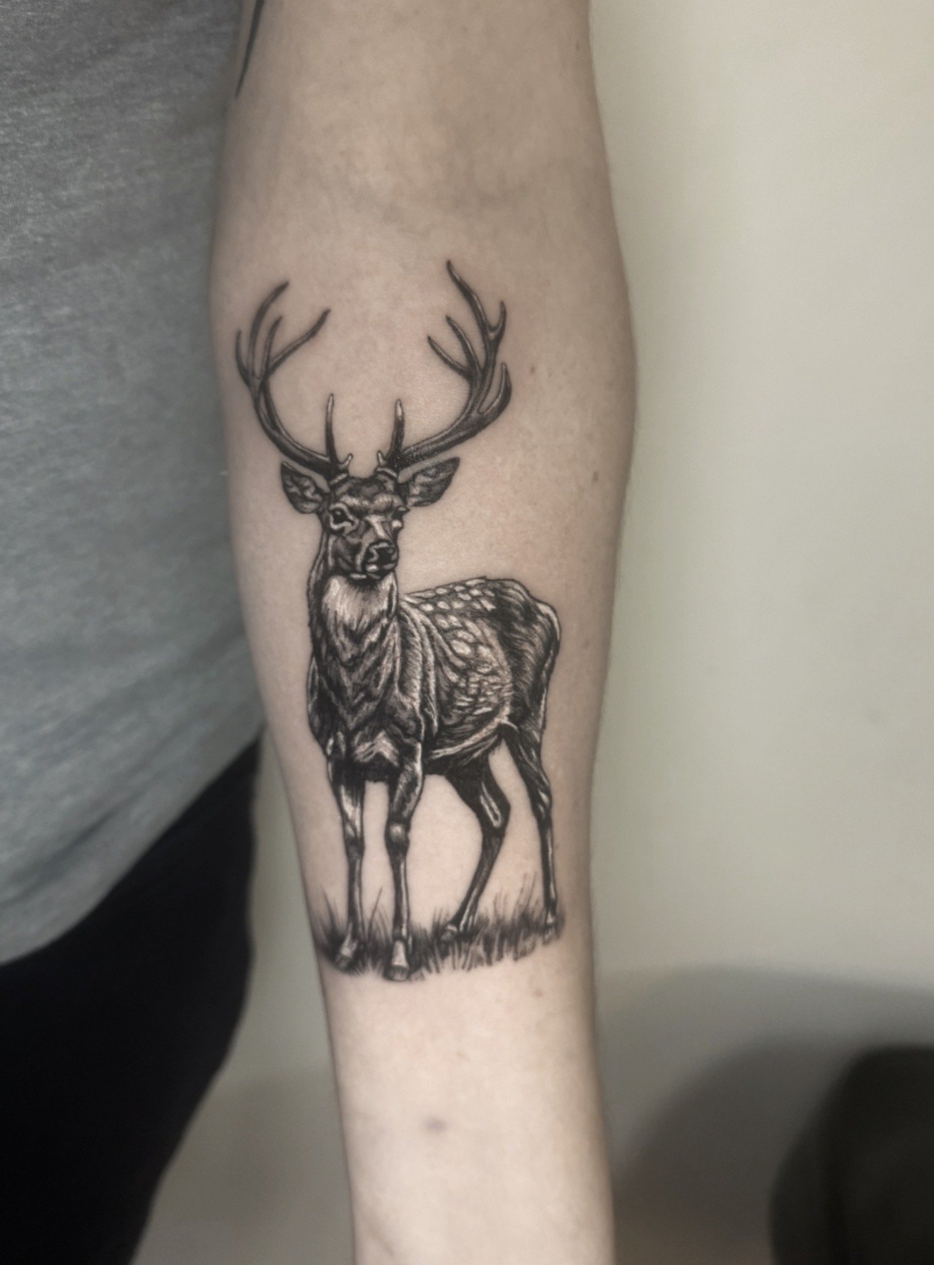 Black line drawing of a deer with large antlers on a person's arm.
