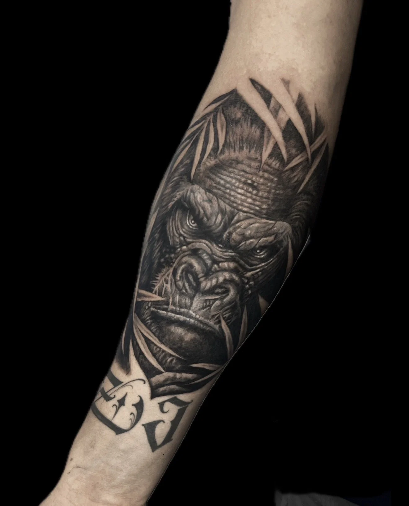 Black and gray tattoo of a gorilla's face on person's arm, with bamboo leaves surrounding the head and a word tattooed in Gothic-style lettering.