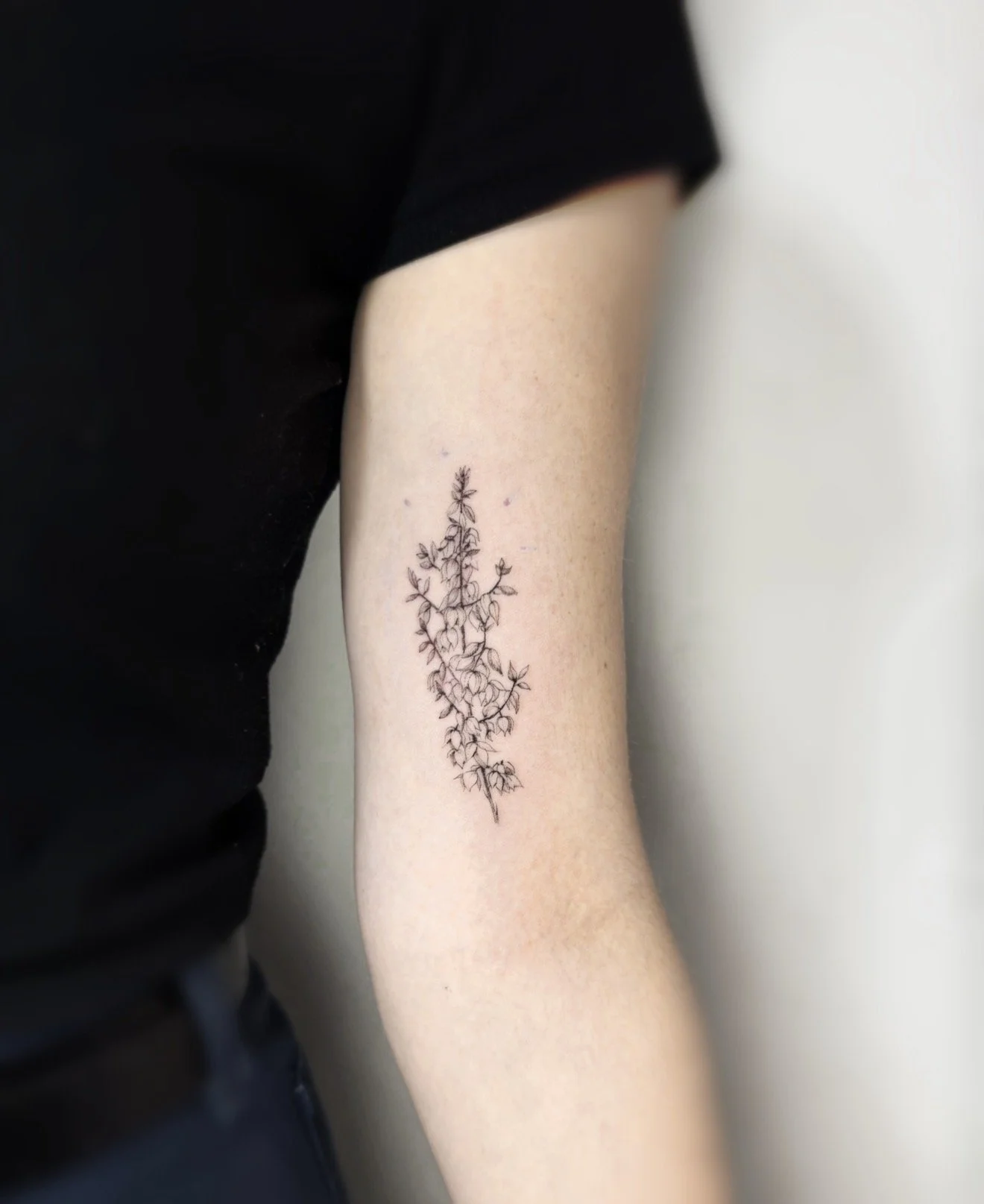 fine line vine tattoo