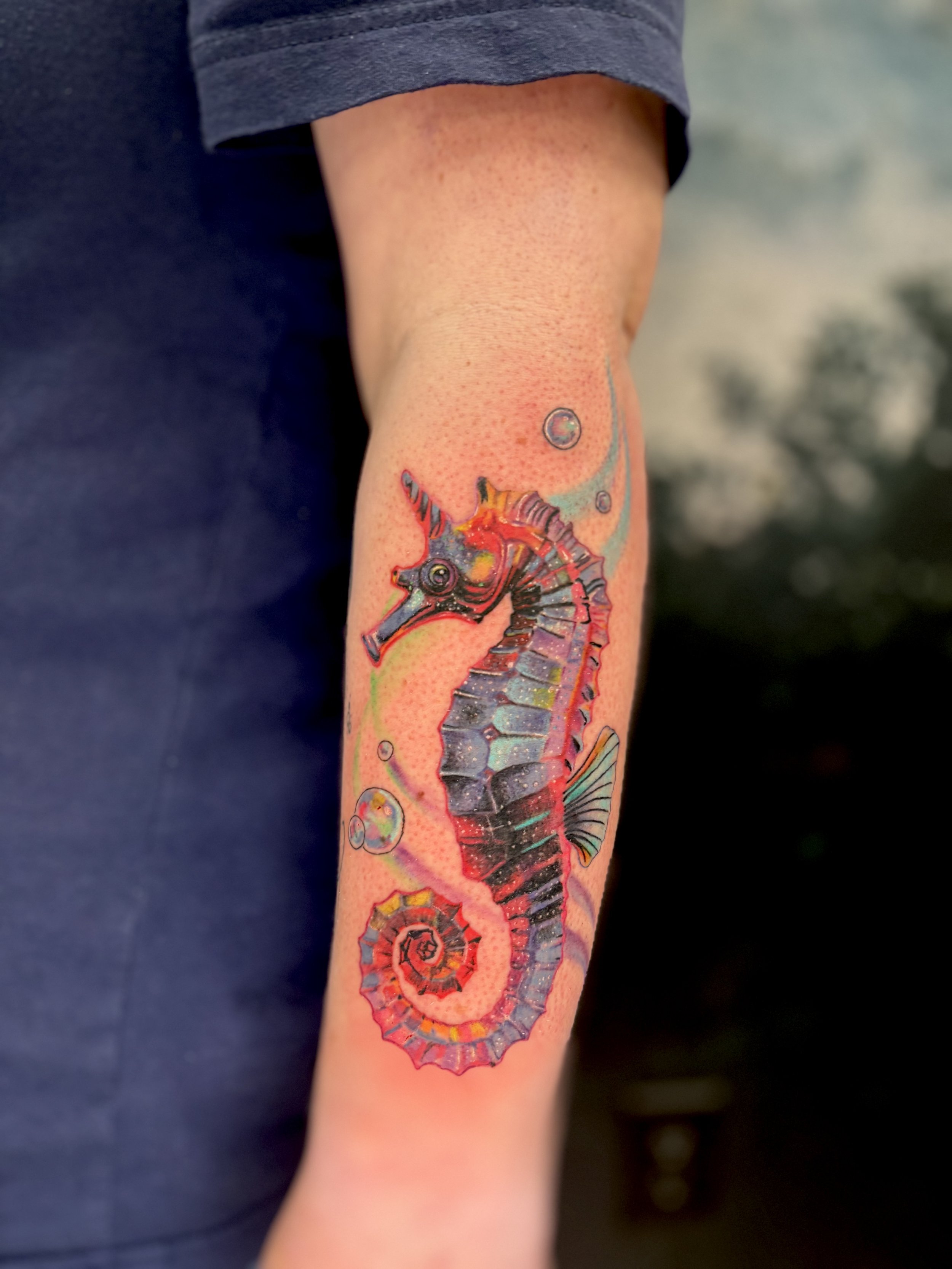 Unicorn Seahorse
