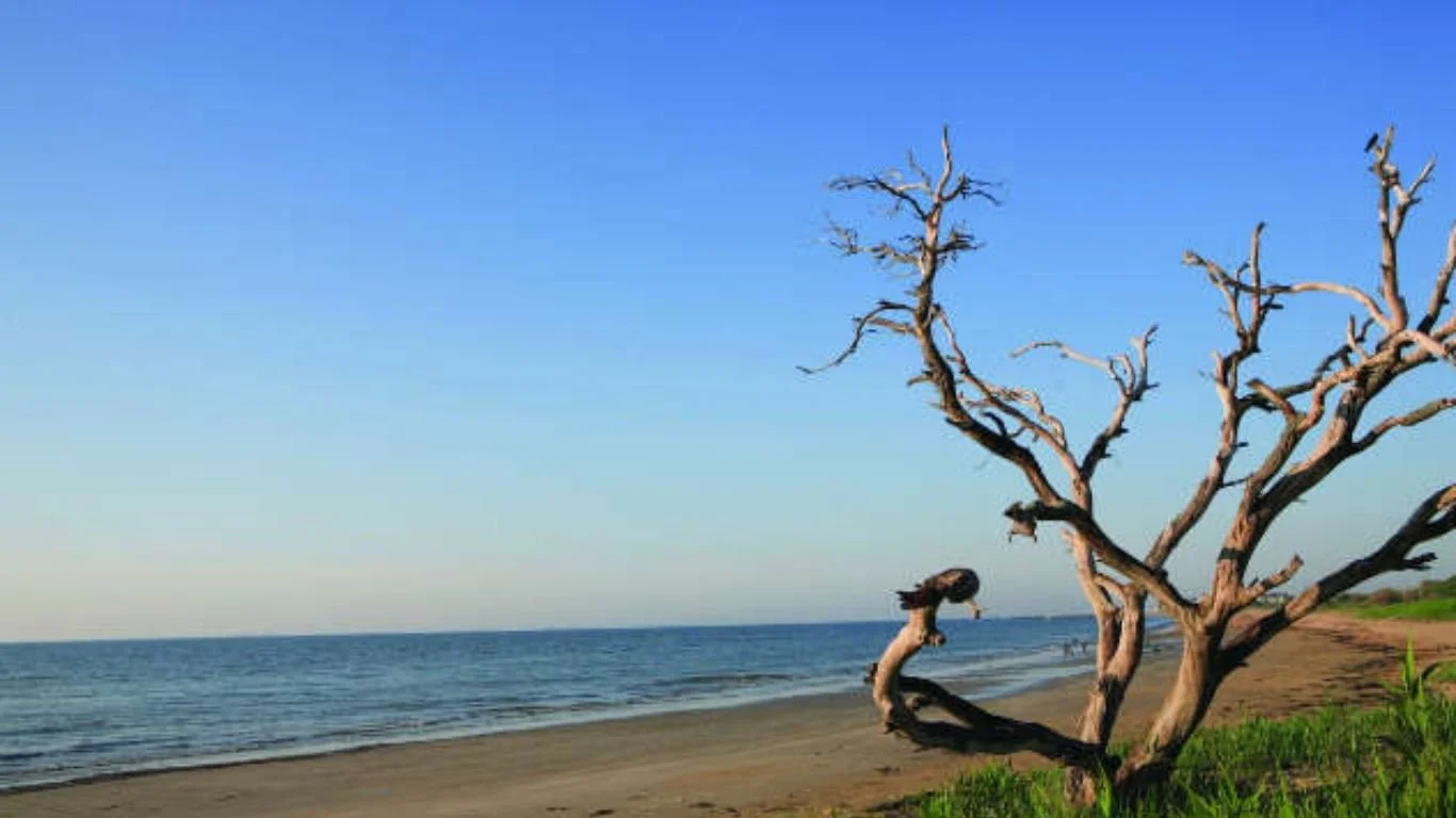 Grandview Nature Preserve’s untouched coastline is perfect for secluded beach living. Brit Porter helps you find exclusive Hampton Roads retreats with stunning oceanfront views.