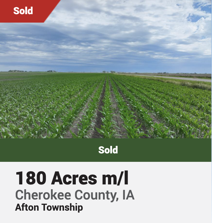 Screenshot 2025-02-11 at 9.03.05 AM.png