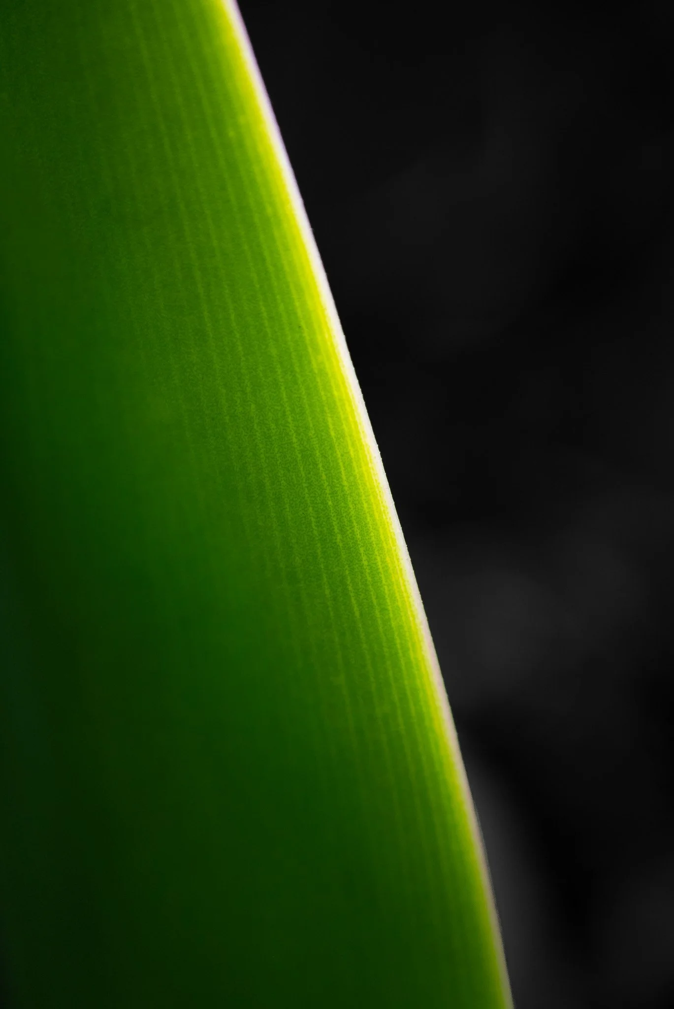 MWZ_3154.jpg