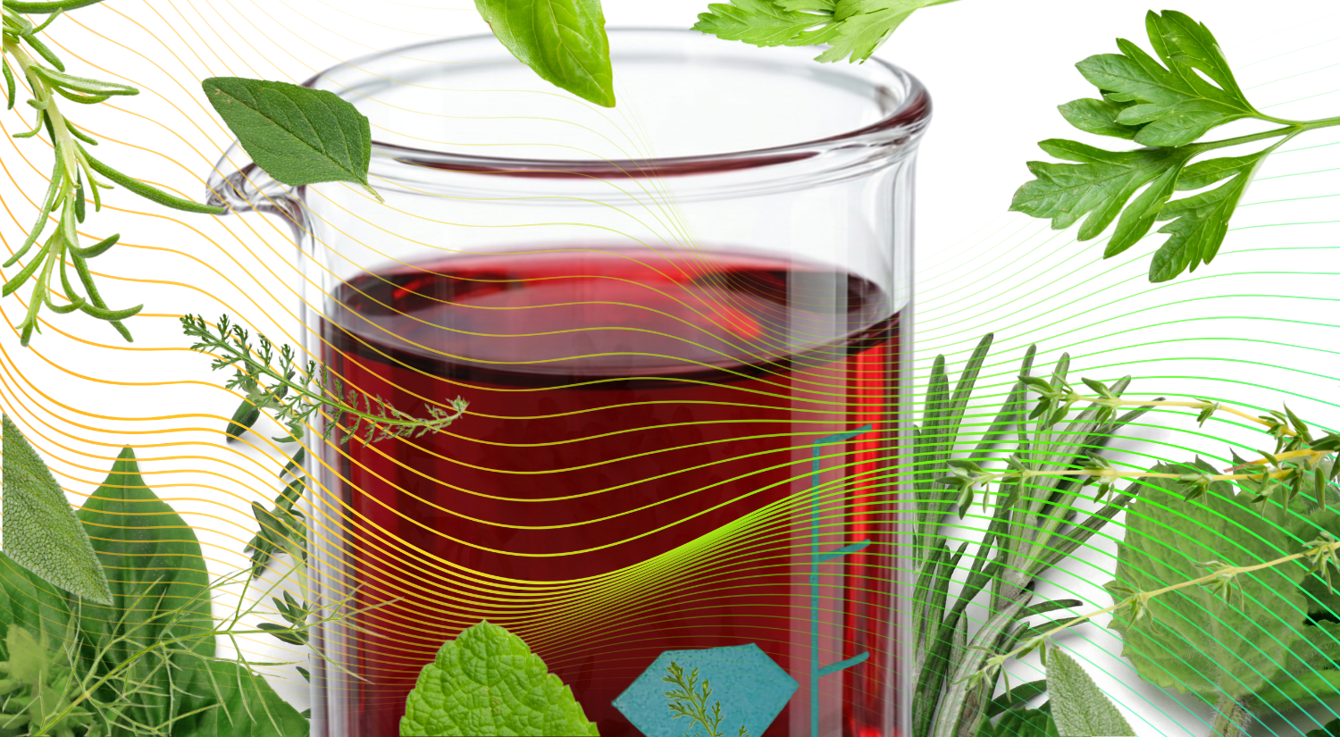 Ultrasonic Extraction vs. Traditional Alcohol Maceration: Which Produces a Better Herbal Tincture?