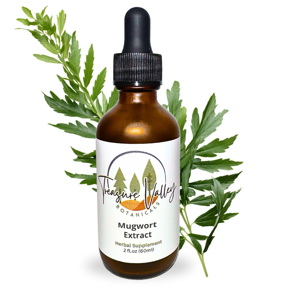 Mugwort Liquid Extract Herbal Tincture - 2 fl oz (60ml)