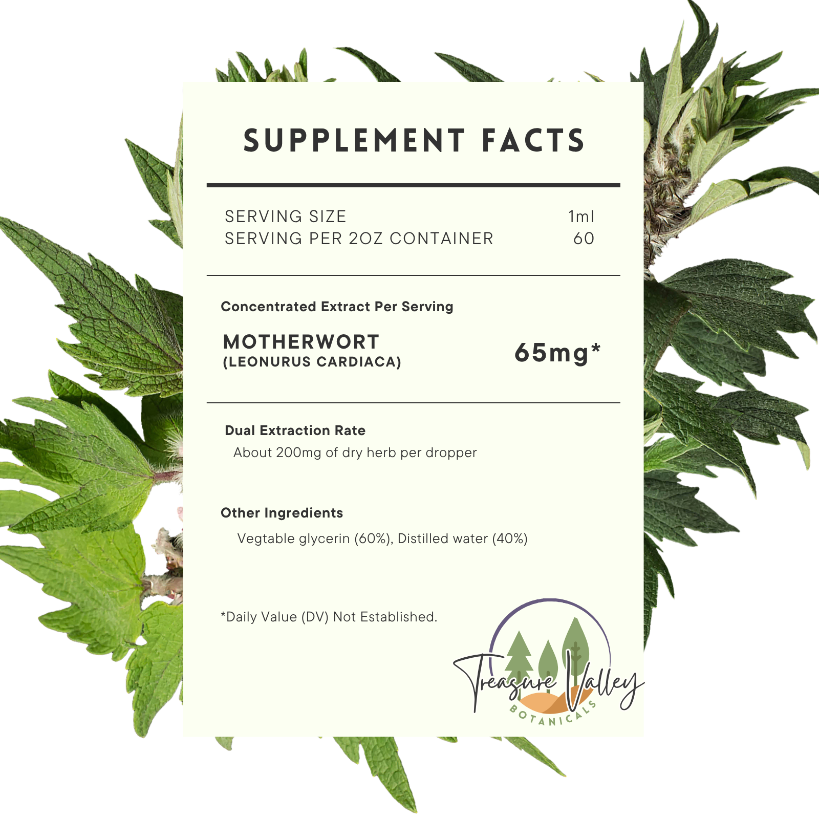 Motherwort_Supplement_Facts.png