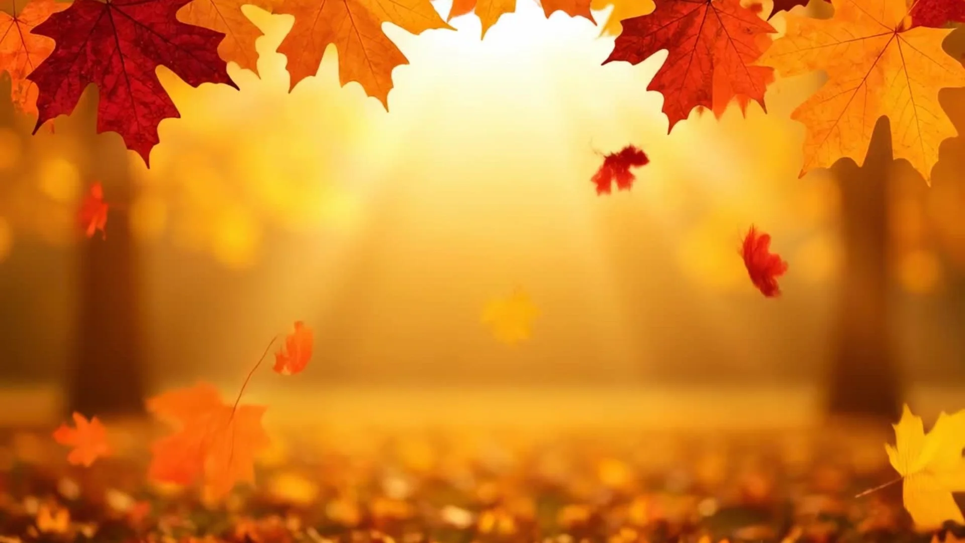 fall_leaves.jpg