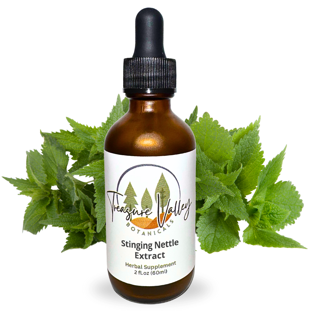 Stinging Nettle Liquid Extract Herbal Tincture - 2 fl oz (60ml)